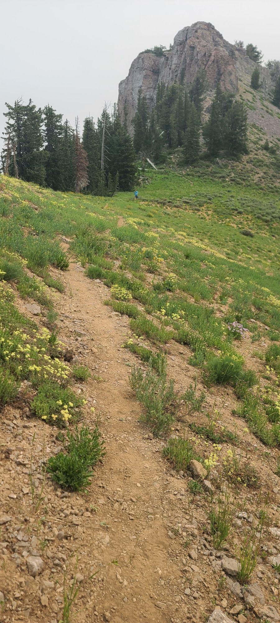 A dirt trail ascends a grassy hillside towards a rocky peak under an overcast sky. - Mount Naomi Peak National Recreation Trail