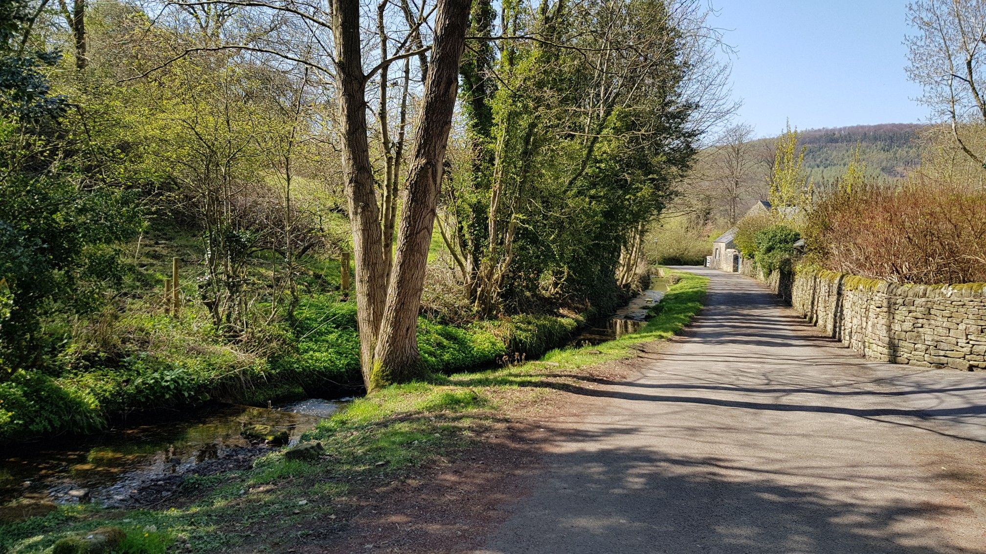Beeley Brook