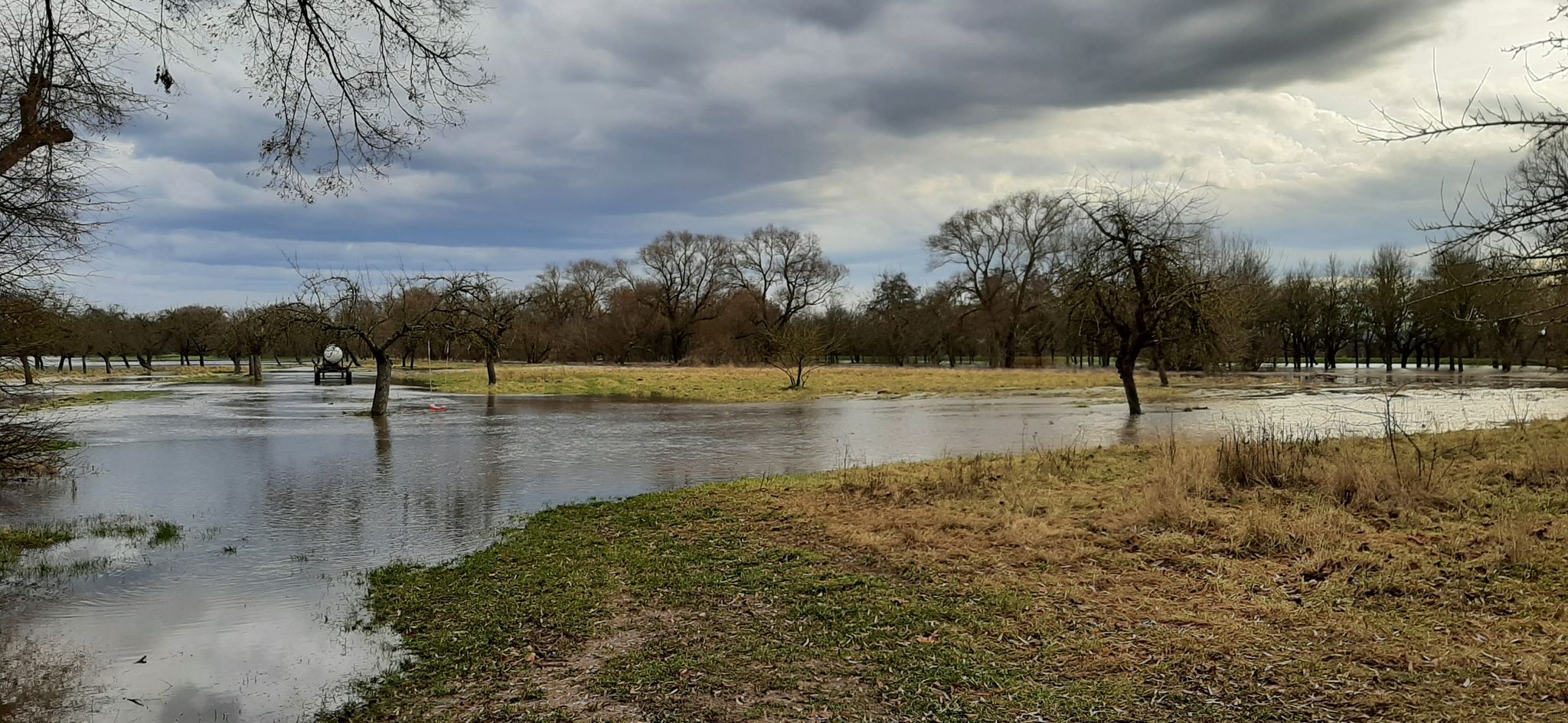Die Wiesen füllen sich mit Wasser