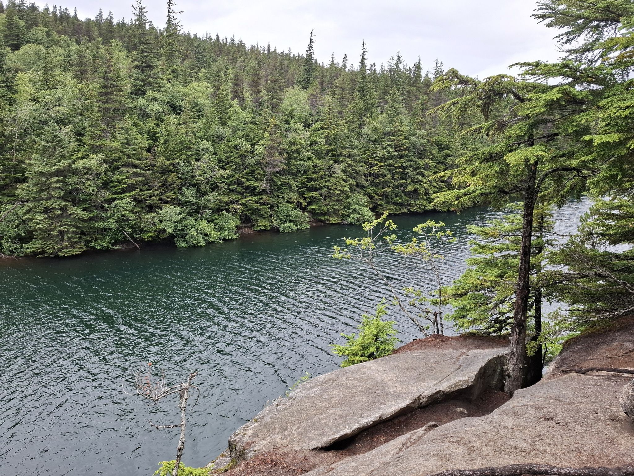 Dark green lake surrounded by dense evergreen forest under an overcast sky. - Lower Dewey Lake Loop Trail