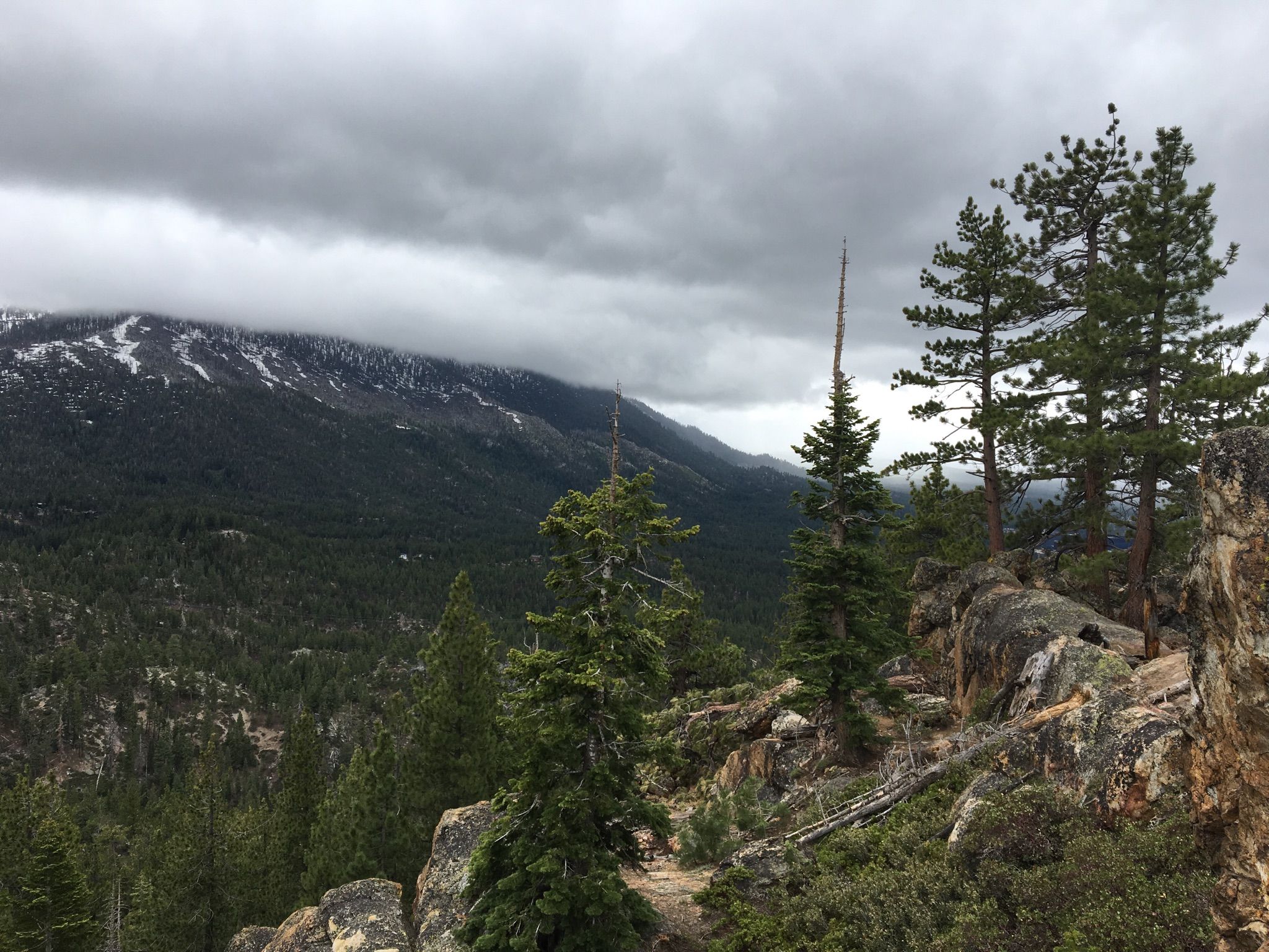 Rocky foreground with pine trees, overlooking snow-dusted mountains under a cloudy sky. - Castle Rock Trail – Castle Rock loop from Castle Rock