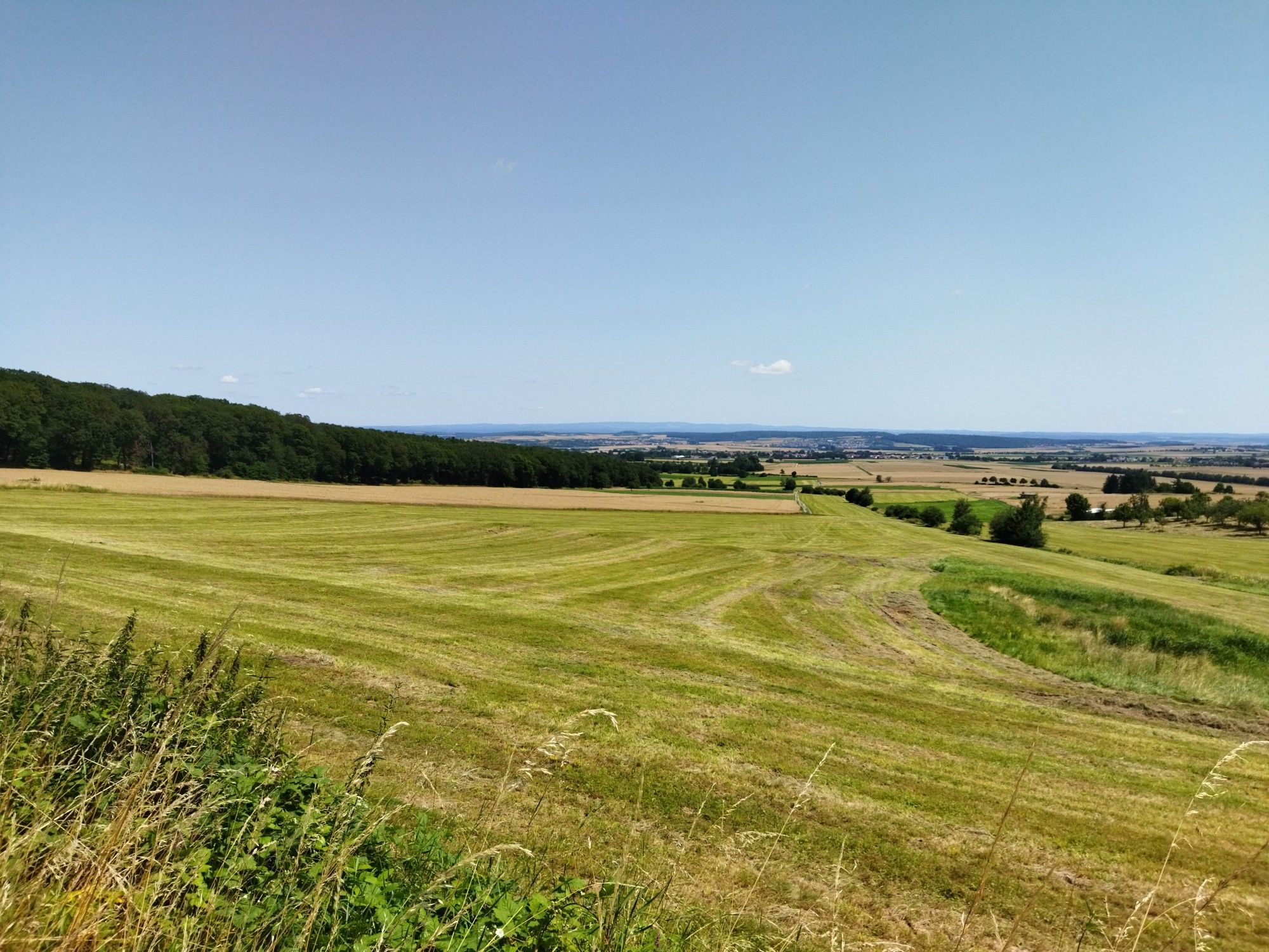 Burgblick