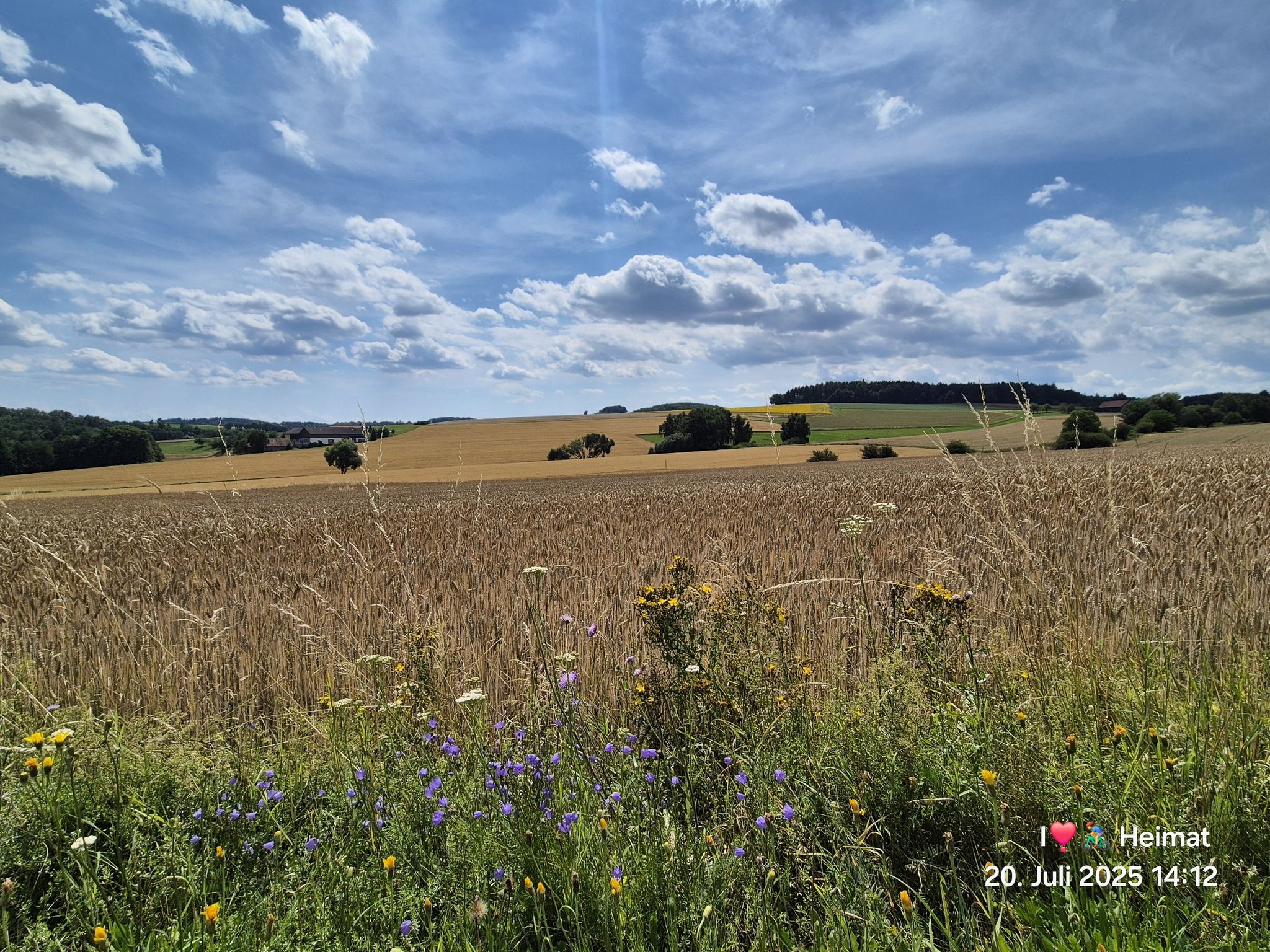 Sommer ist's im Land. Welch herrliche Jahreszeit.