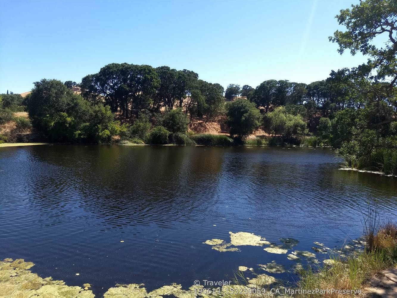 Sunny view of a calm lake with green trees and dry hills. - Hidden Valley Pond and Community Garden Loop