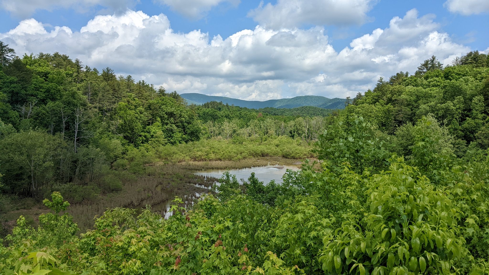 Lush green forest surrounds a calm lake under a bright, cloudy sky. - Bull and Jake Mountain Loop