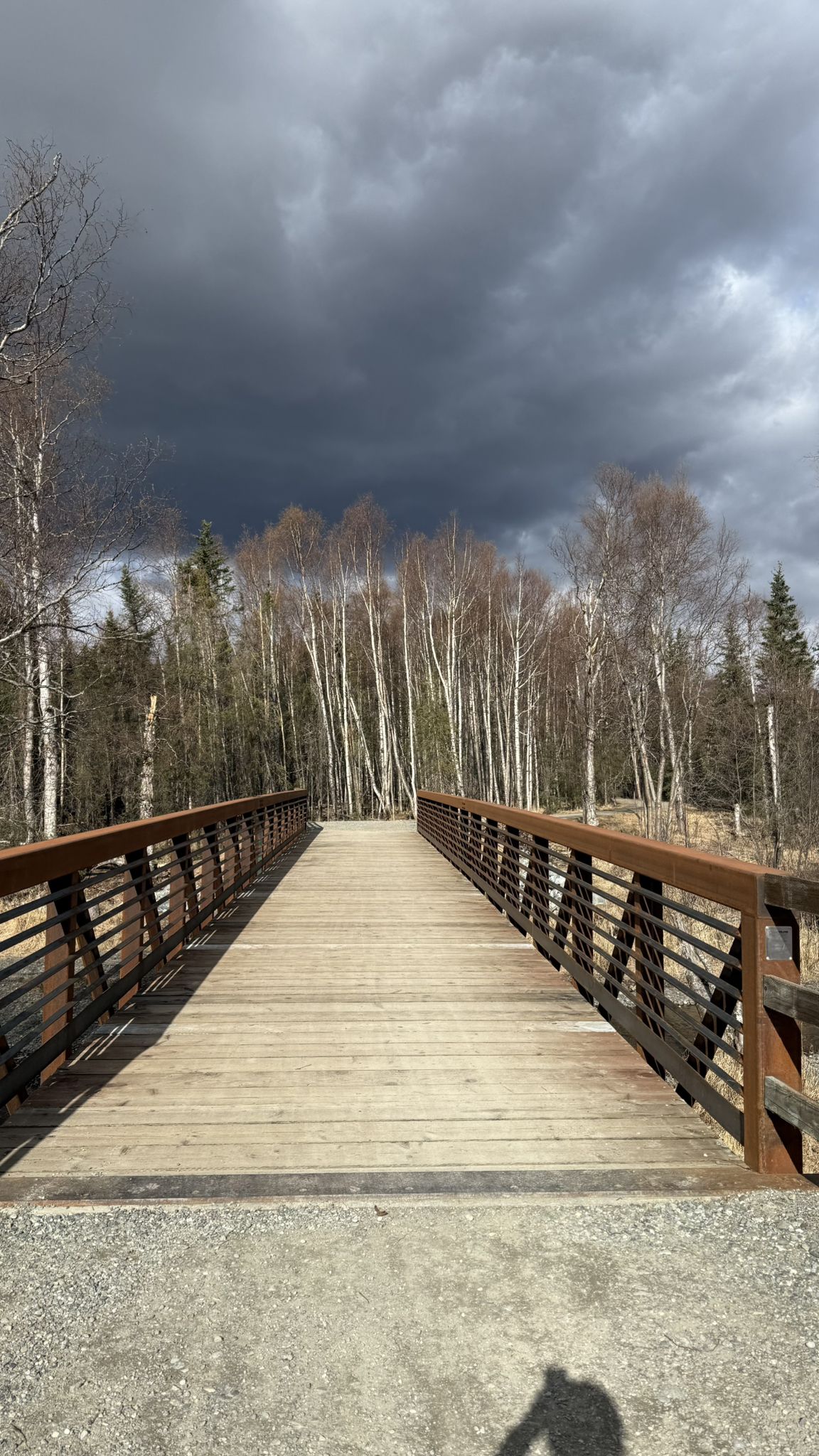 Wooden bridge leading to bare trees under a dramatic, stormy sky. - Mountainbike loop from Woodhaven Homeowner's Association