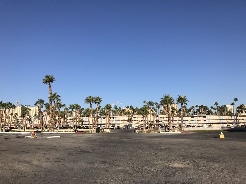 Empty parking lot with buildings and palm trees under a clear sky. - Running loop from Paradise