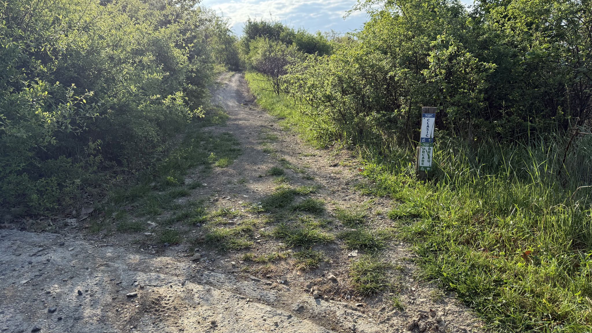 Devadat trail 7 meets start point of trail 2