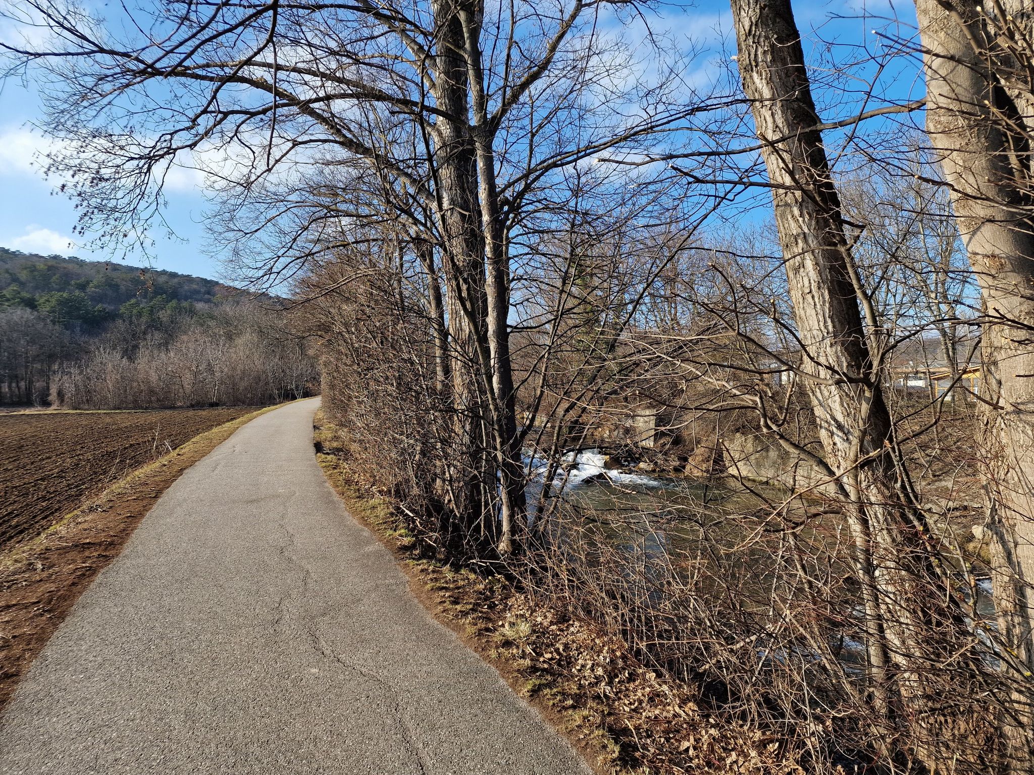 Der Triesting entlang nach Hirtenberg