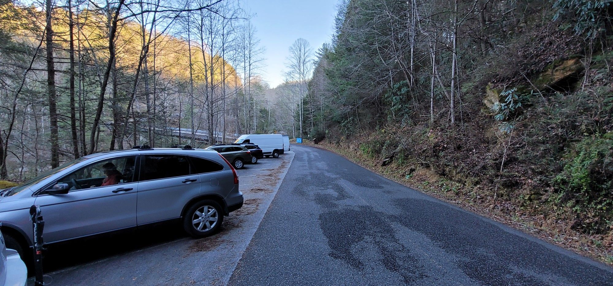 Several vehicles parked on a roadside next to a forest, illuminated by soft light. - Clear Creek loop