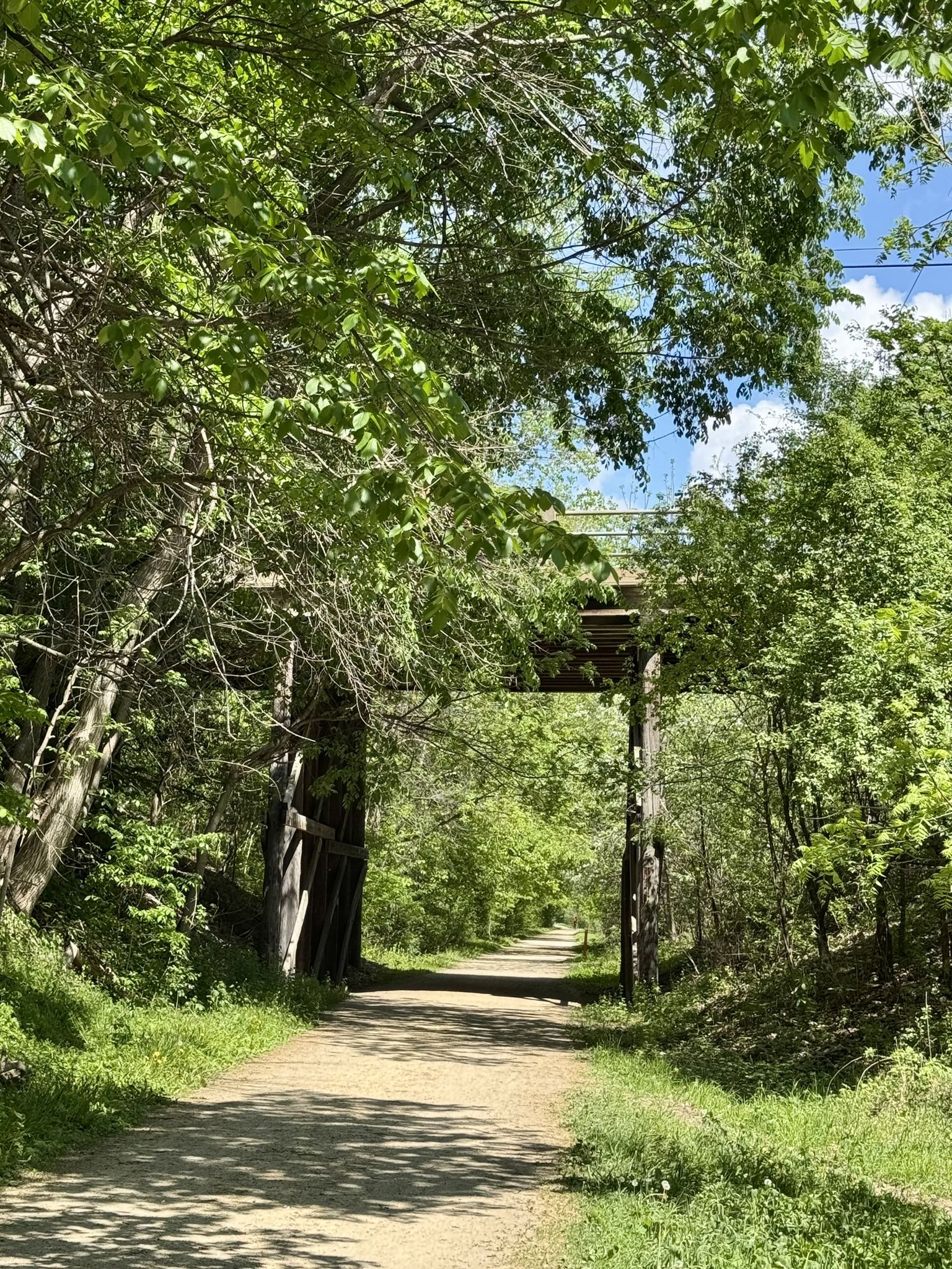 A path leads under a rustic wooden bridge, surrounded by bright green trees. - Bederwood Park loop from 26 Av N