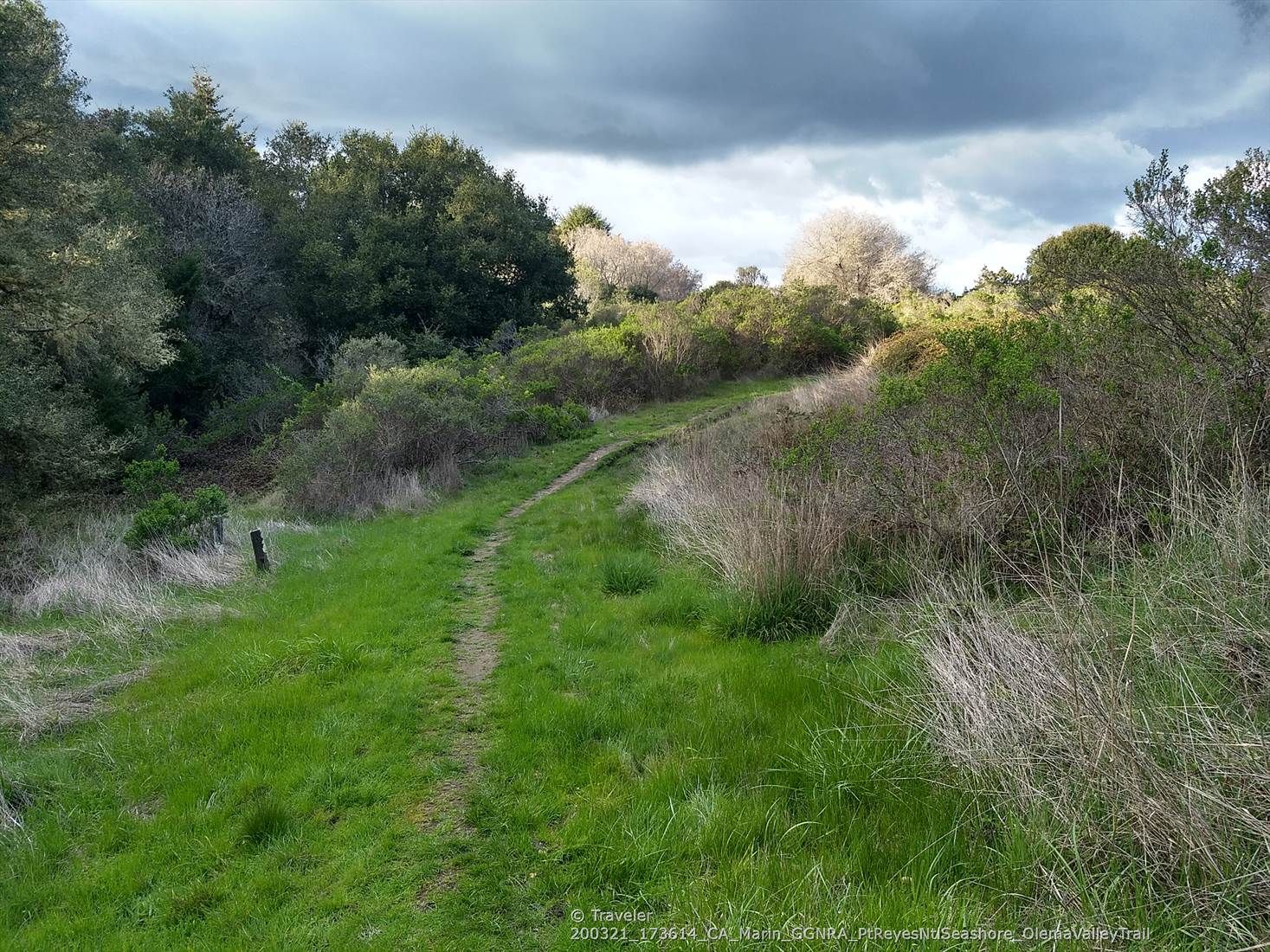 A winding grassy path ascends through green hills under a cloudy sky. - Teixeira, Ridge and Olema Valley Loop