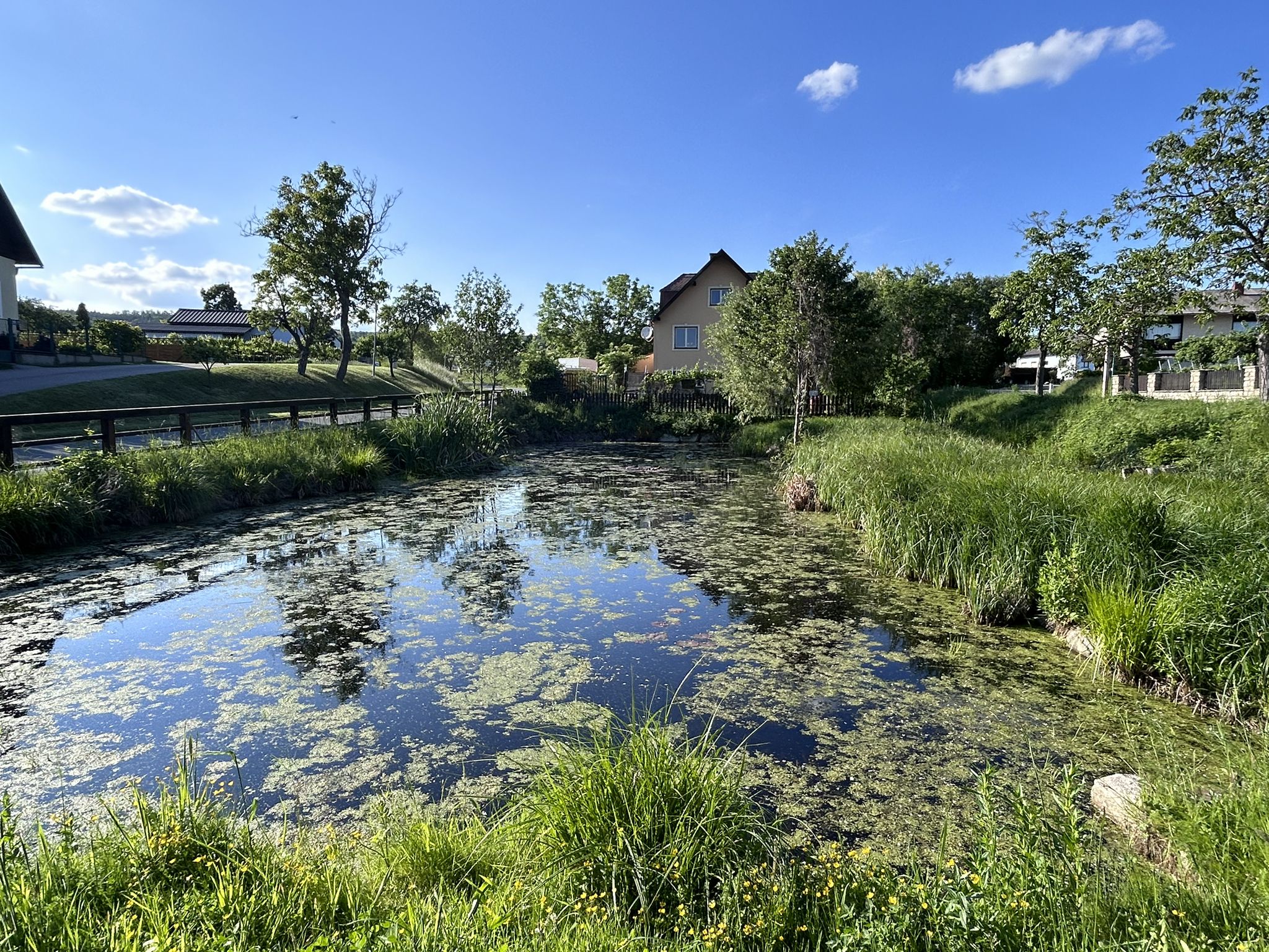 Biotop Obermarkersdorf
