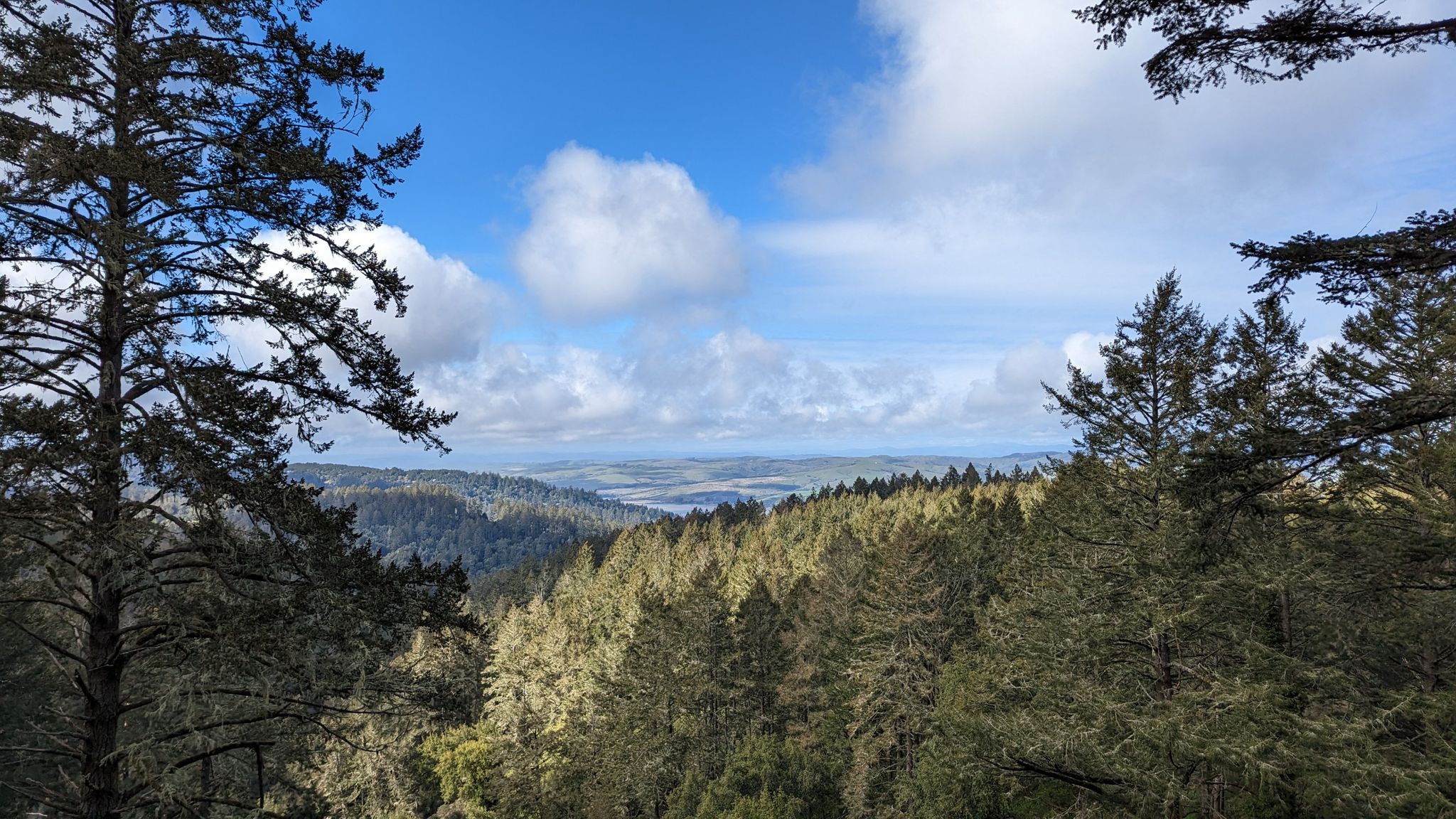 Expansive view of forested hills and distant water under a partly cloudy sky. - Mount Wittenberg and Horse Trail Loop