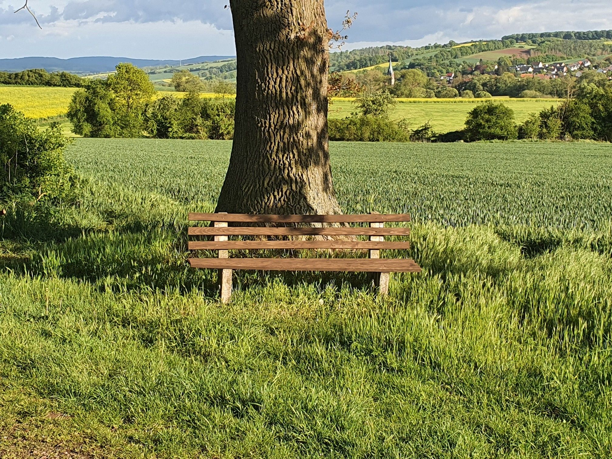 Getränkebank 3