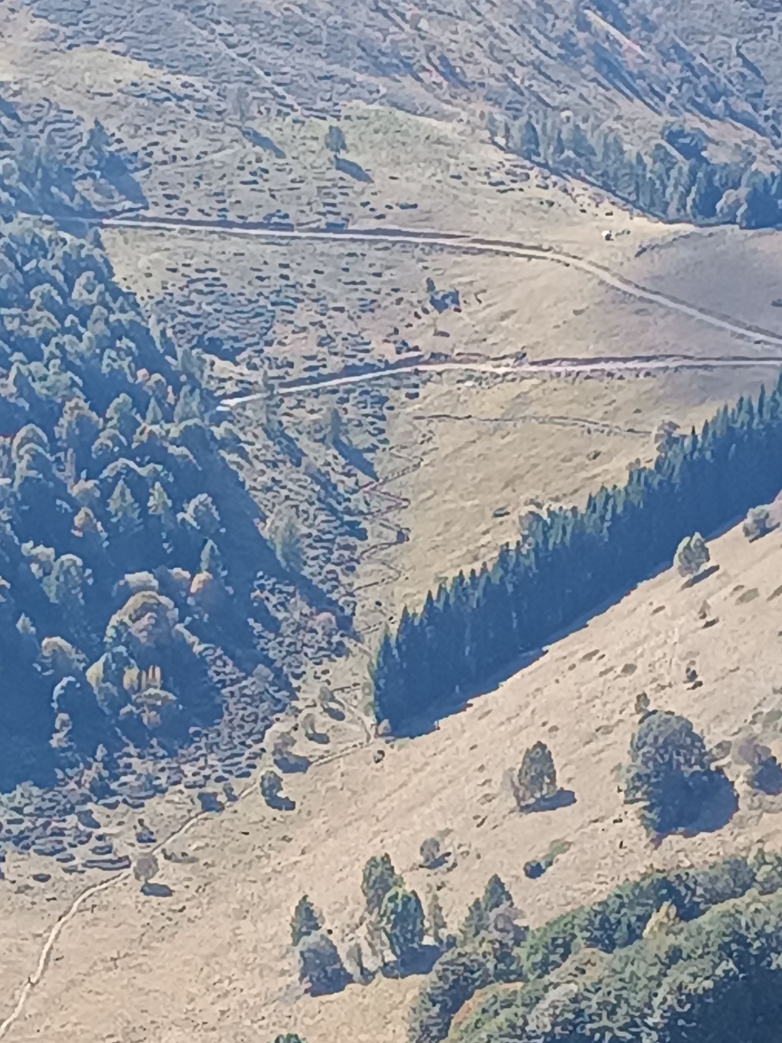 il sentierino rimesso a nuovo che scende prima dell'Arpione