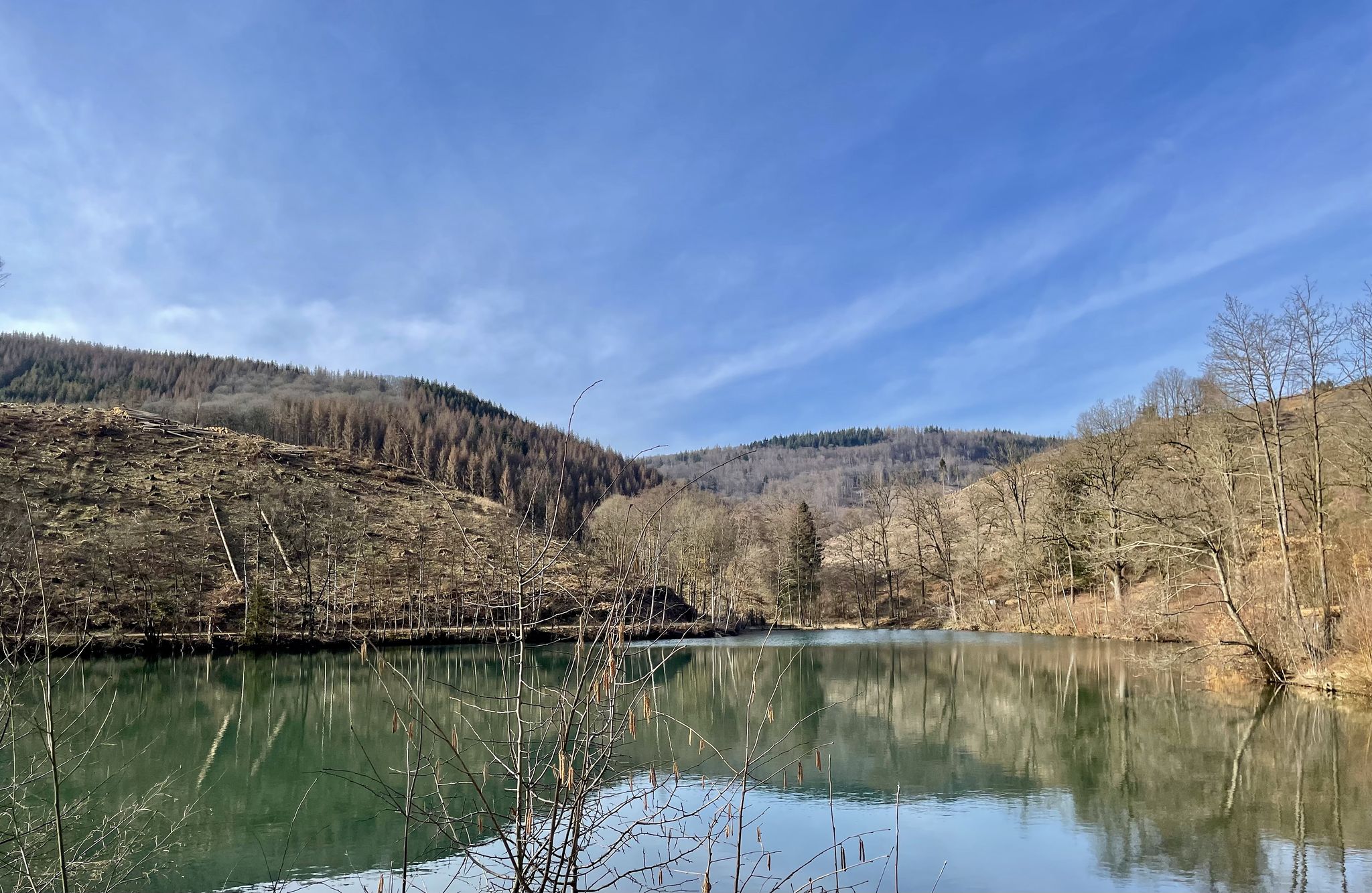 Afholderbacher Weiher