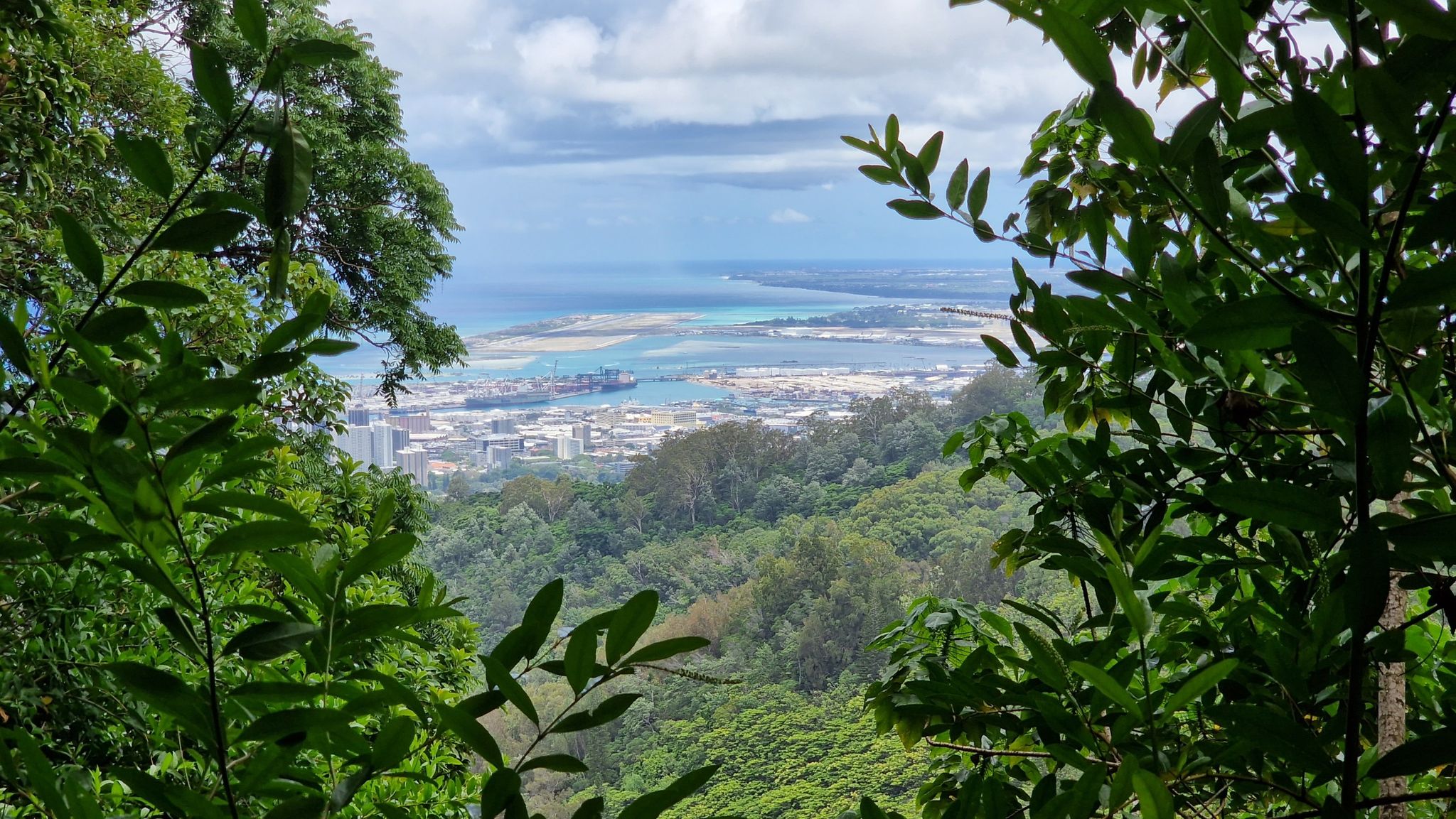Expansive view of a city, harbor, and ocean framed by green forest. - 'Ualaka'a and Moleka Trail Loop