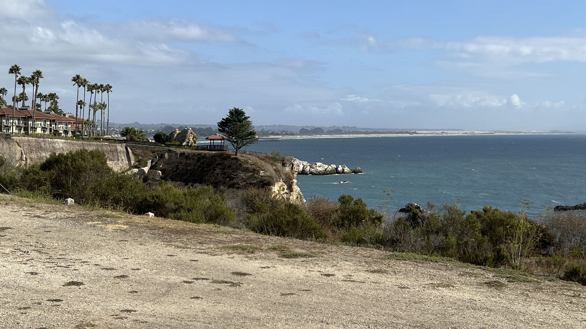 Sunny coastal view with ocean, cliffs, buildings, and palm trees. - Pismo Beach – Pacific Coast Bike Route loop from Pismo Beach