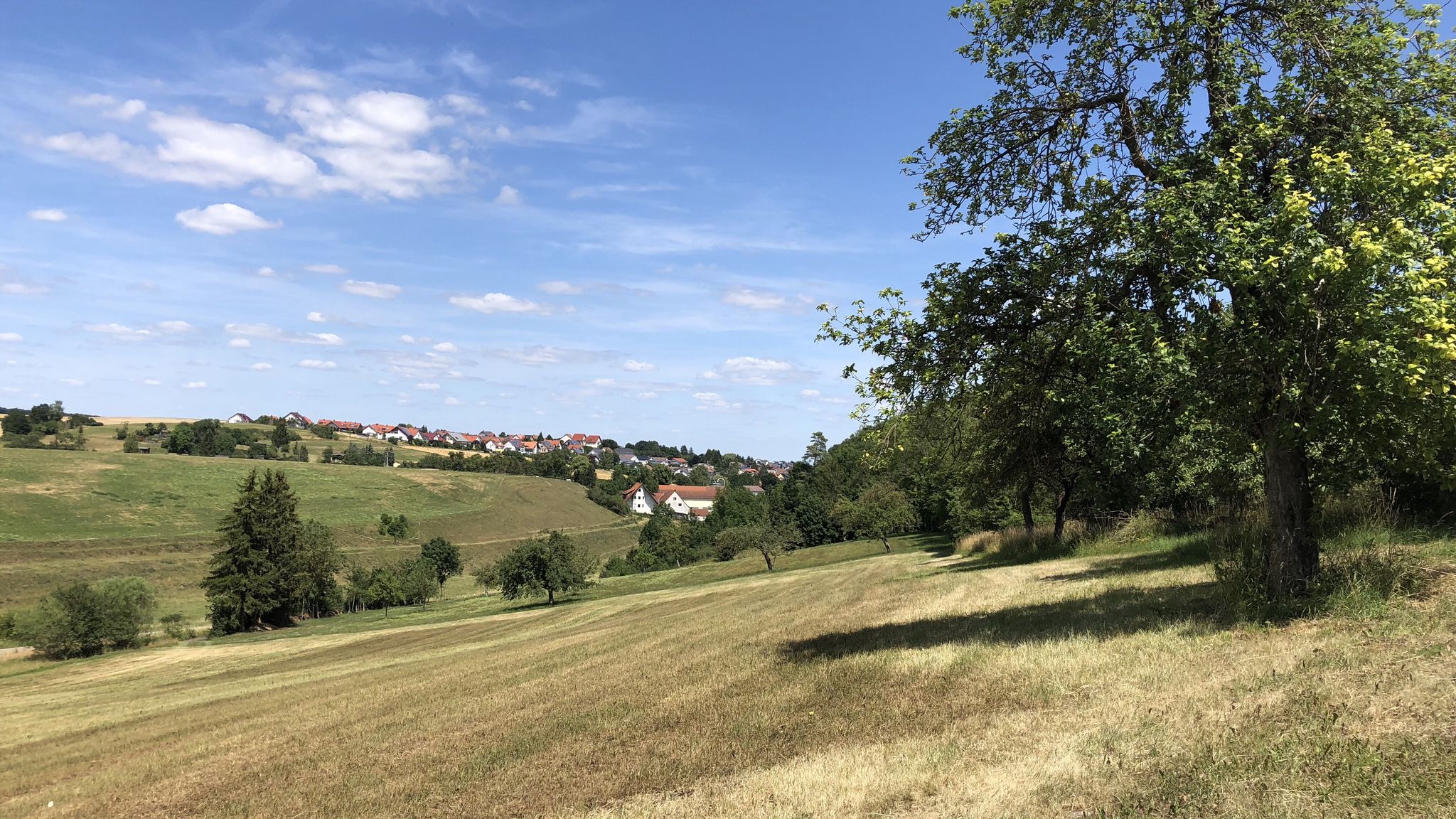 Blick auf Albeck
