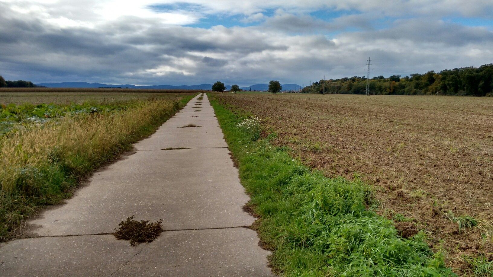 Radweg