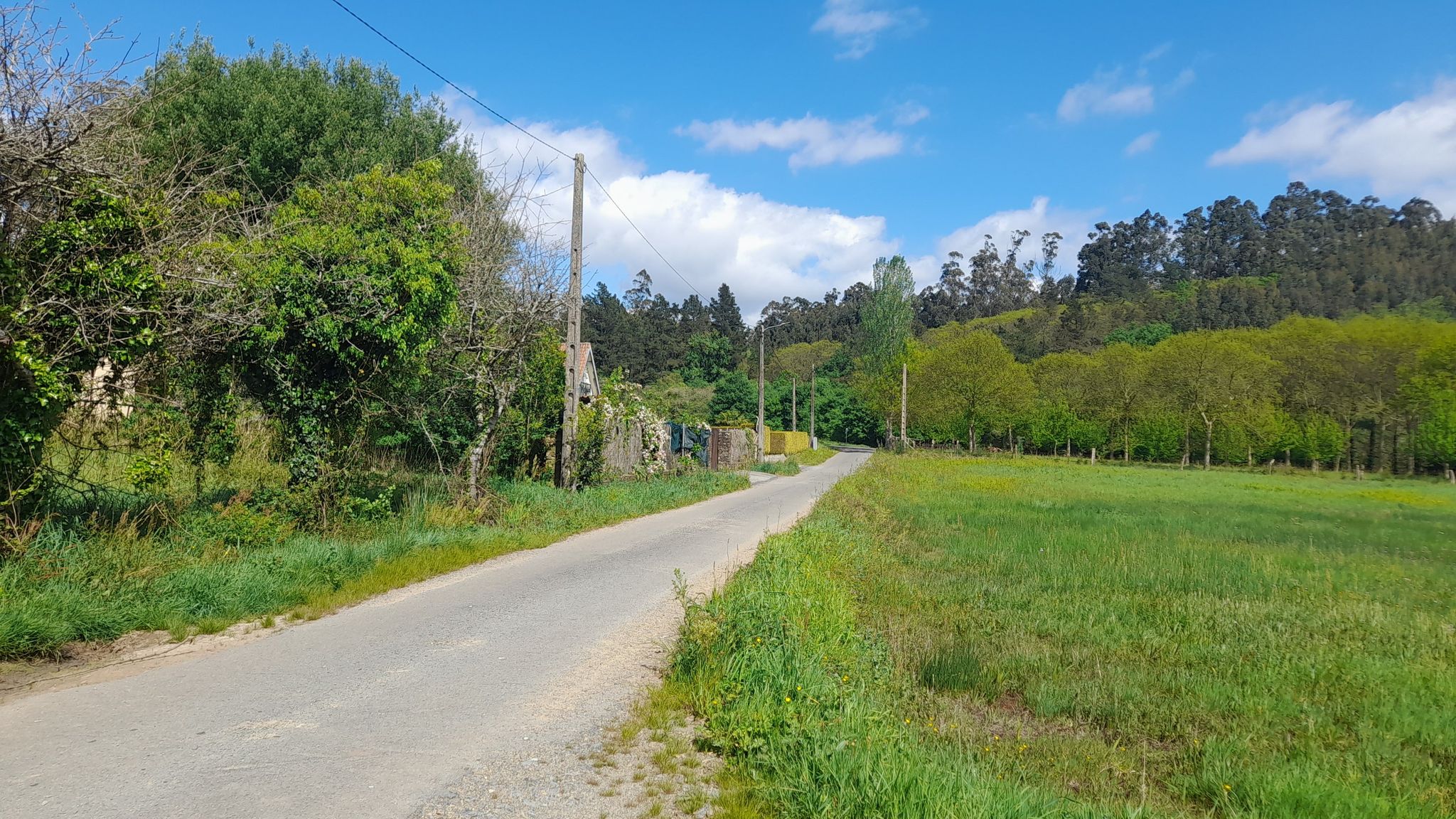 Eccomi finalmente sulla strada da RUA