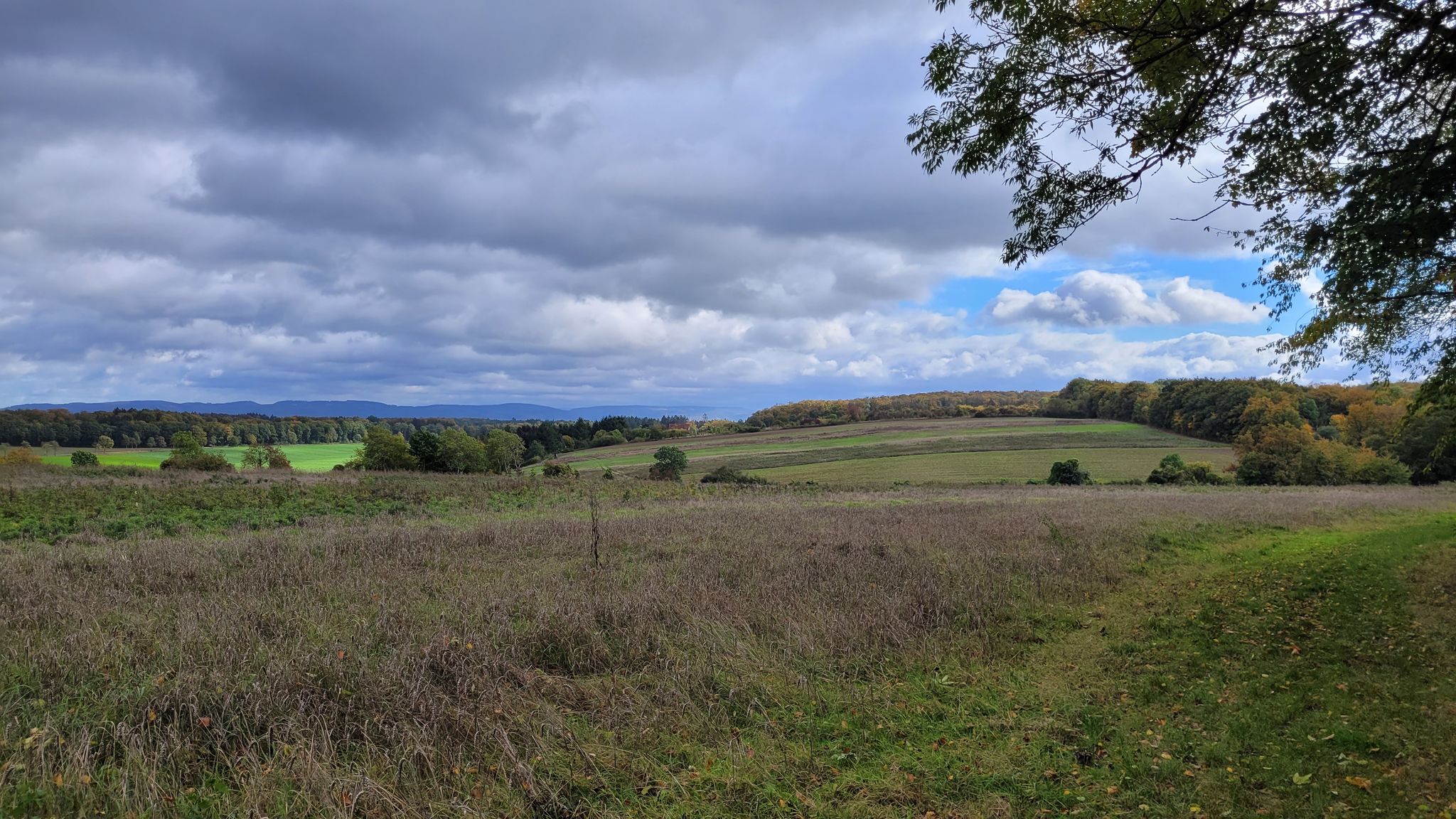 Brockenblick vom Heberberg 280m