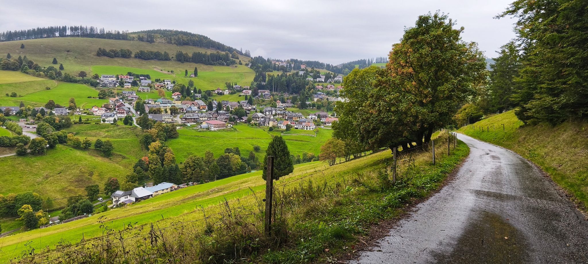 Zurück in Todtnauberg.