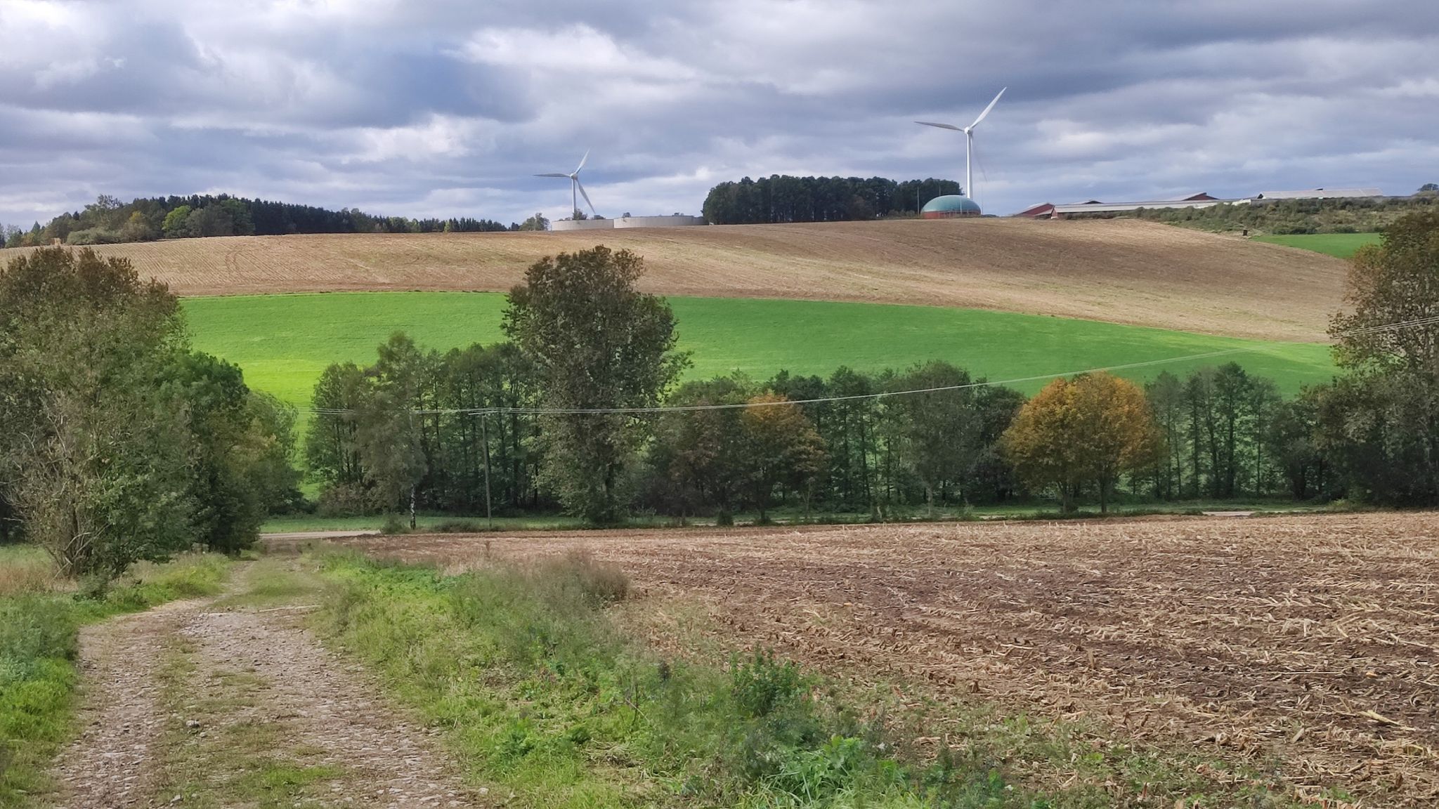Blick zurück zur Biogasanlage