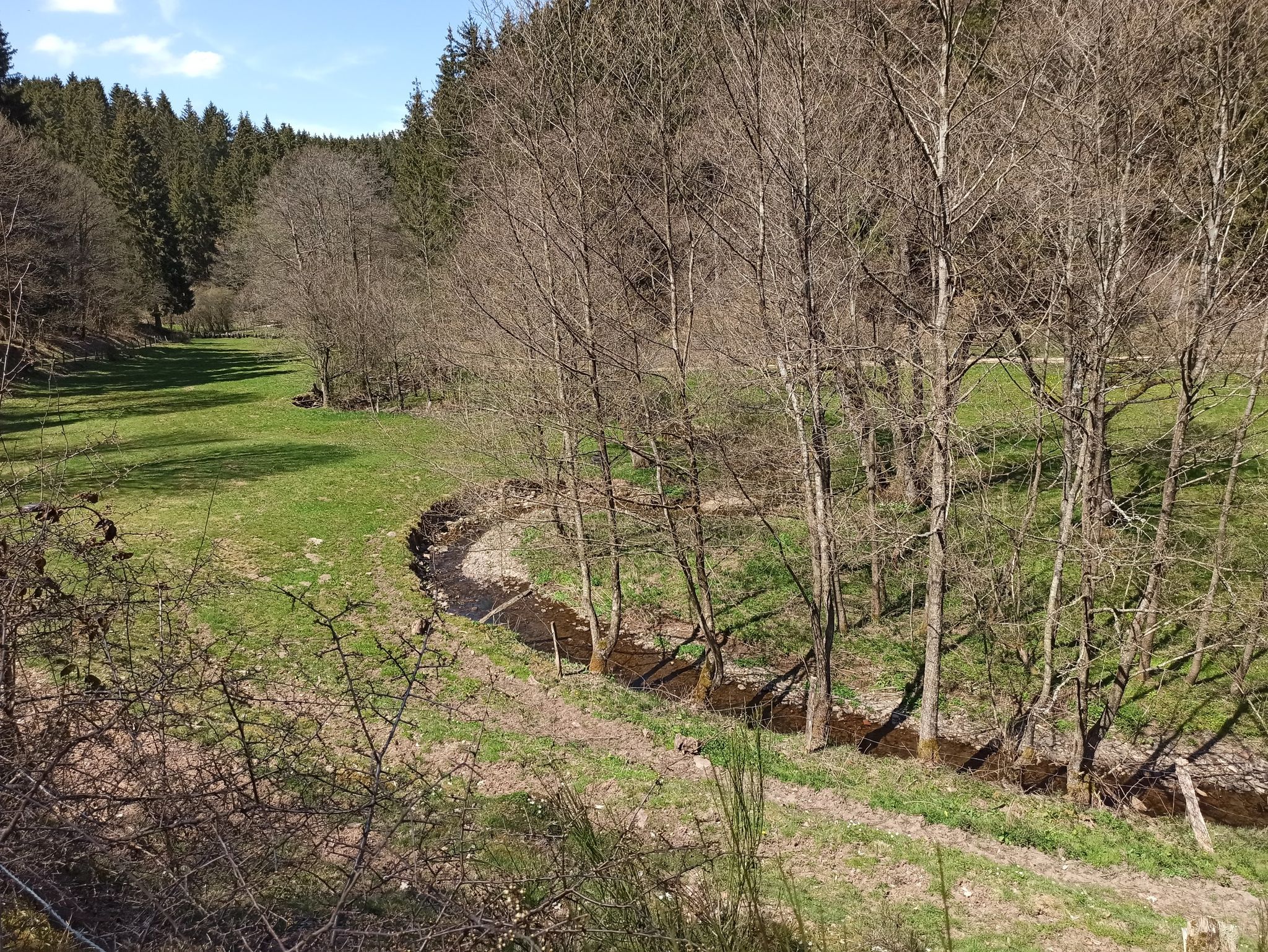 Eisvogelwanderweg 9