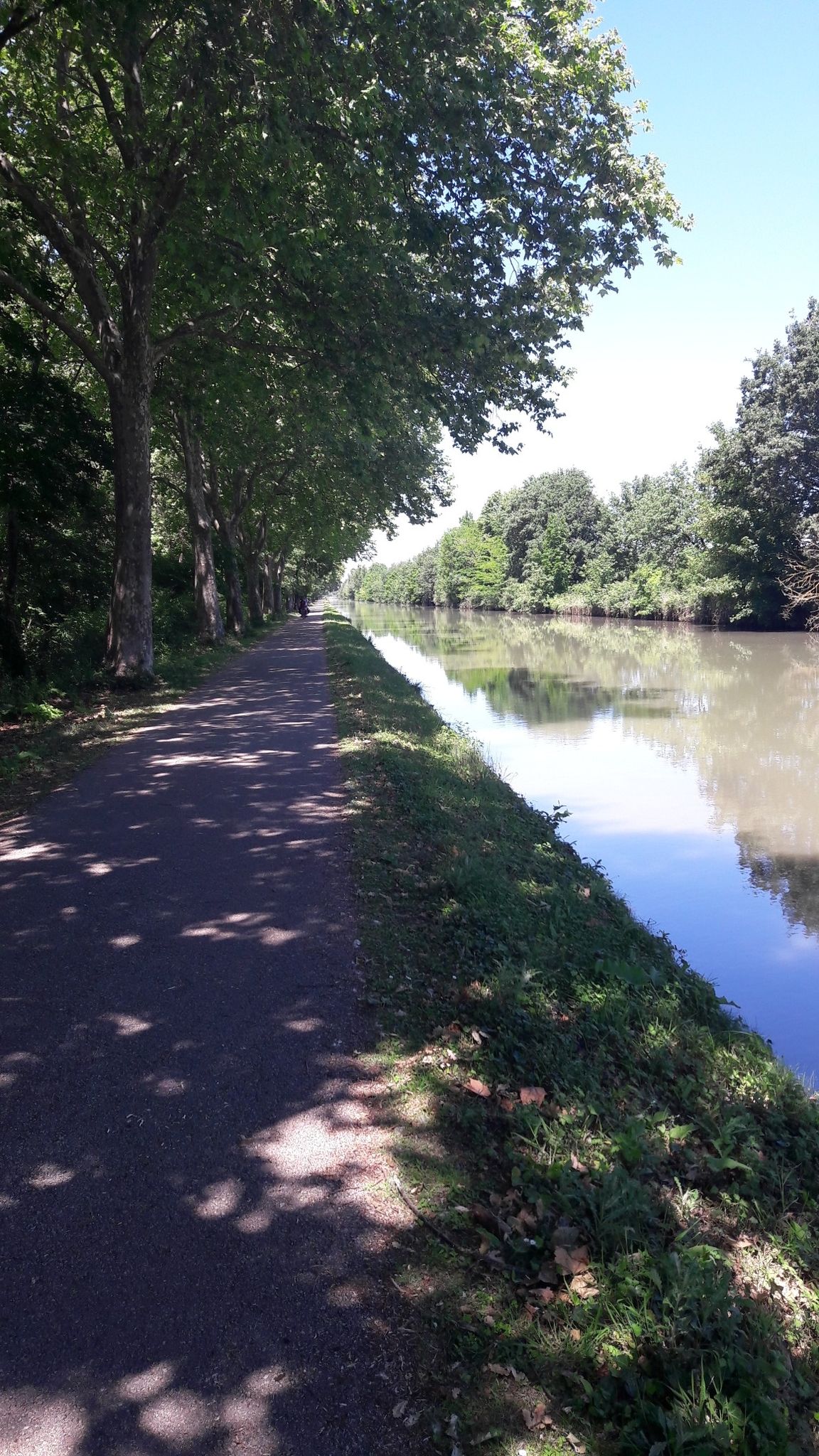 auch nach Toulouse noch schön