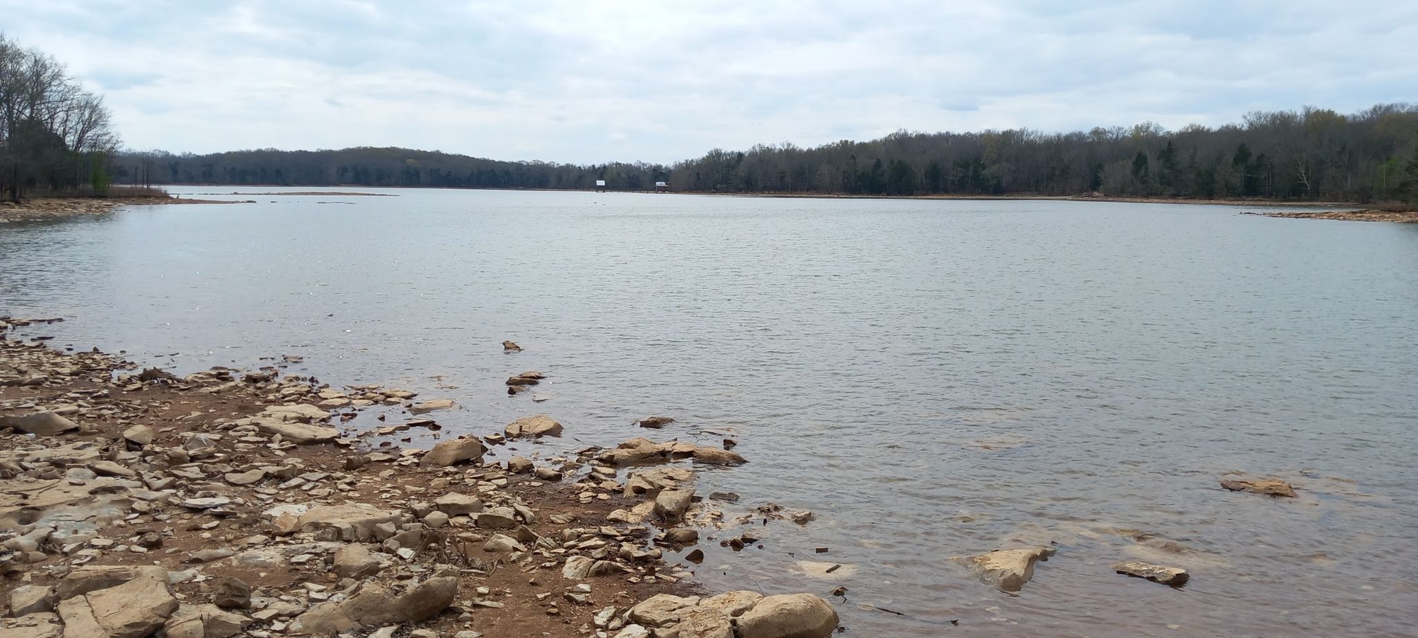 Wide lake with rocky shore, surrounded by bare trees under cloudy sky. - Couchville Lake Trail