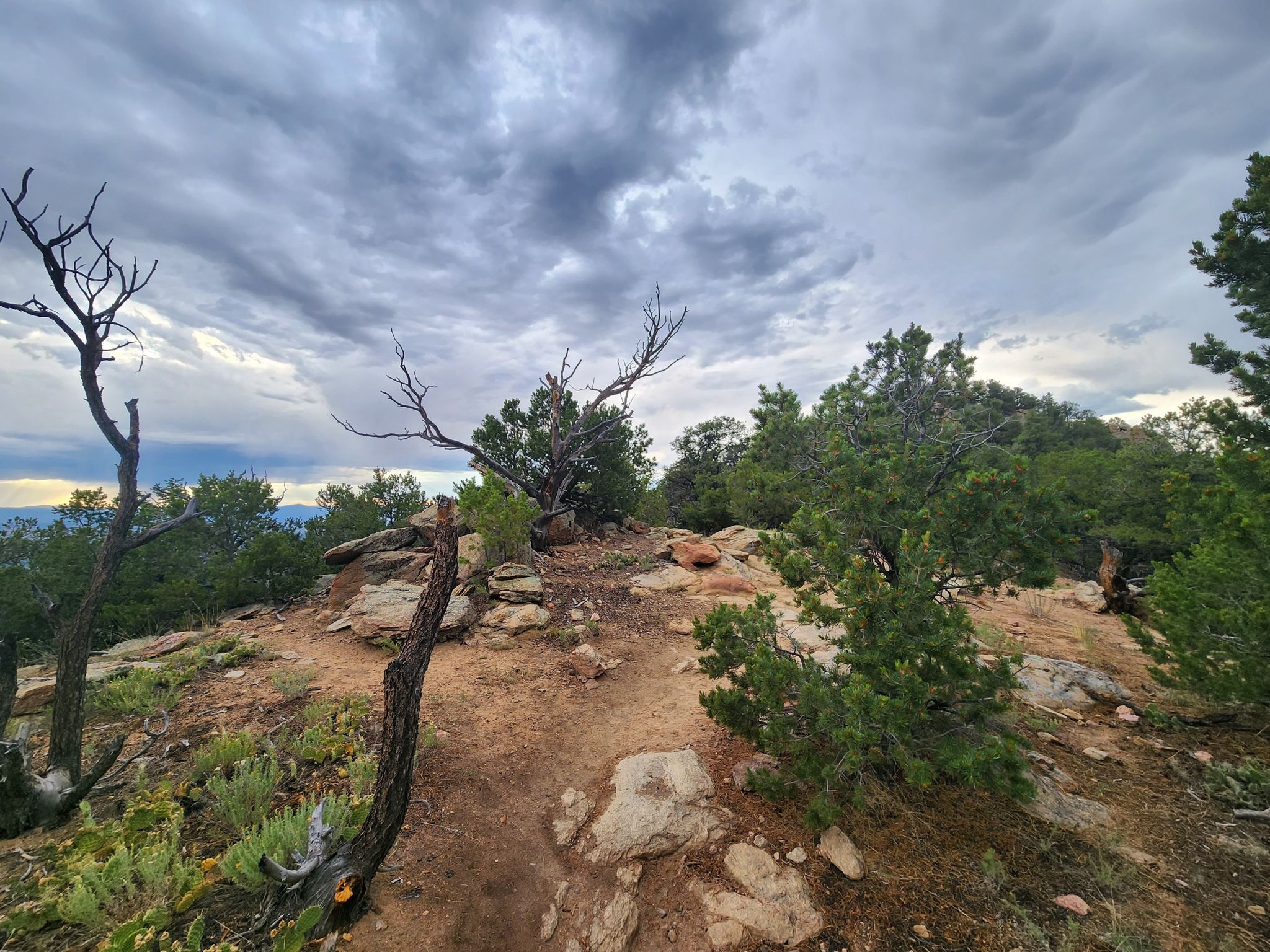 Rocky dirt path on a hill with sparse trees under a cloudy sky. - Picacho Peak Trail