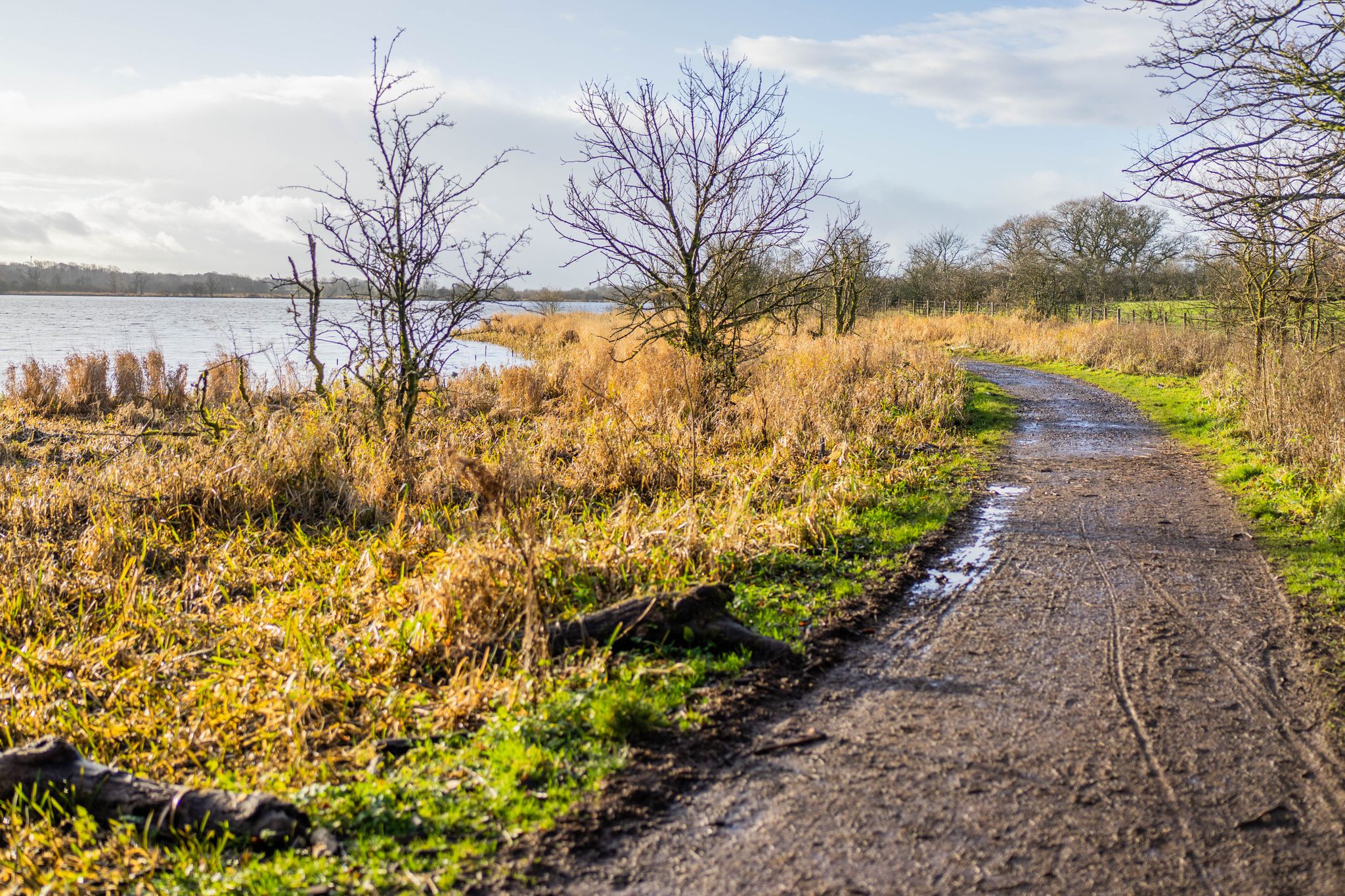 Loch side trail looking west