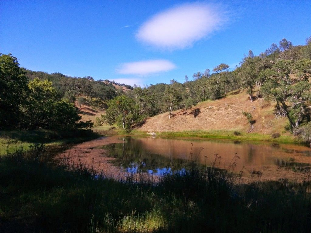 A tranquil pond reflecting blue sky, surrounded by green and brown hills. - Wilson Peak & Henry W. Coe State Park loop from Gilroy