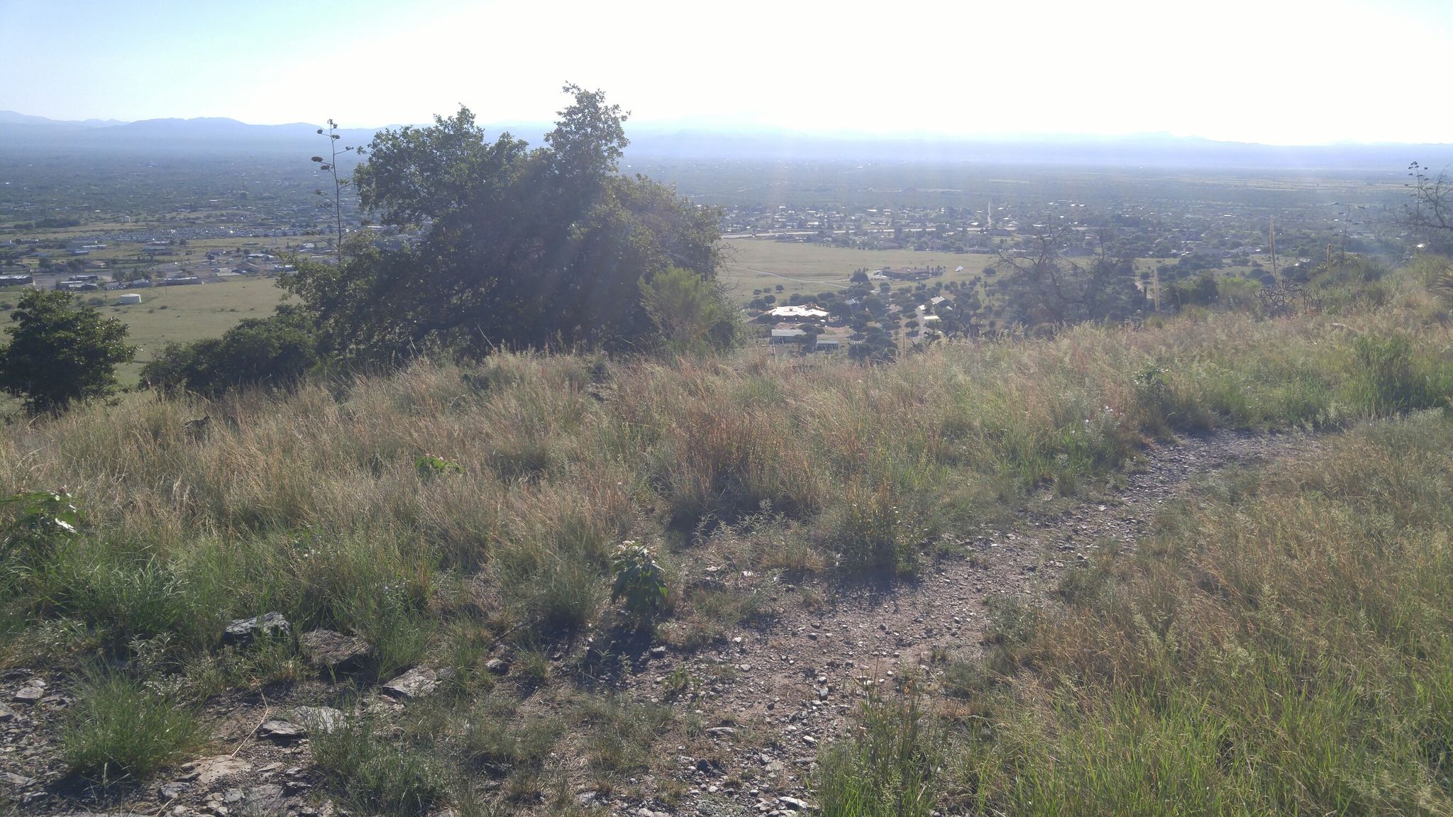 Grassy hillside overlooking a distant town under a bright, hazy sky. - Perimeter and Clark Spring Loop