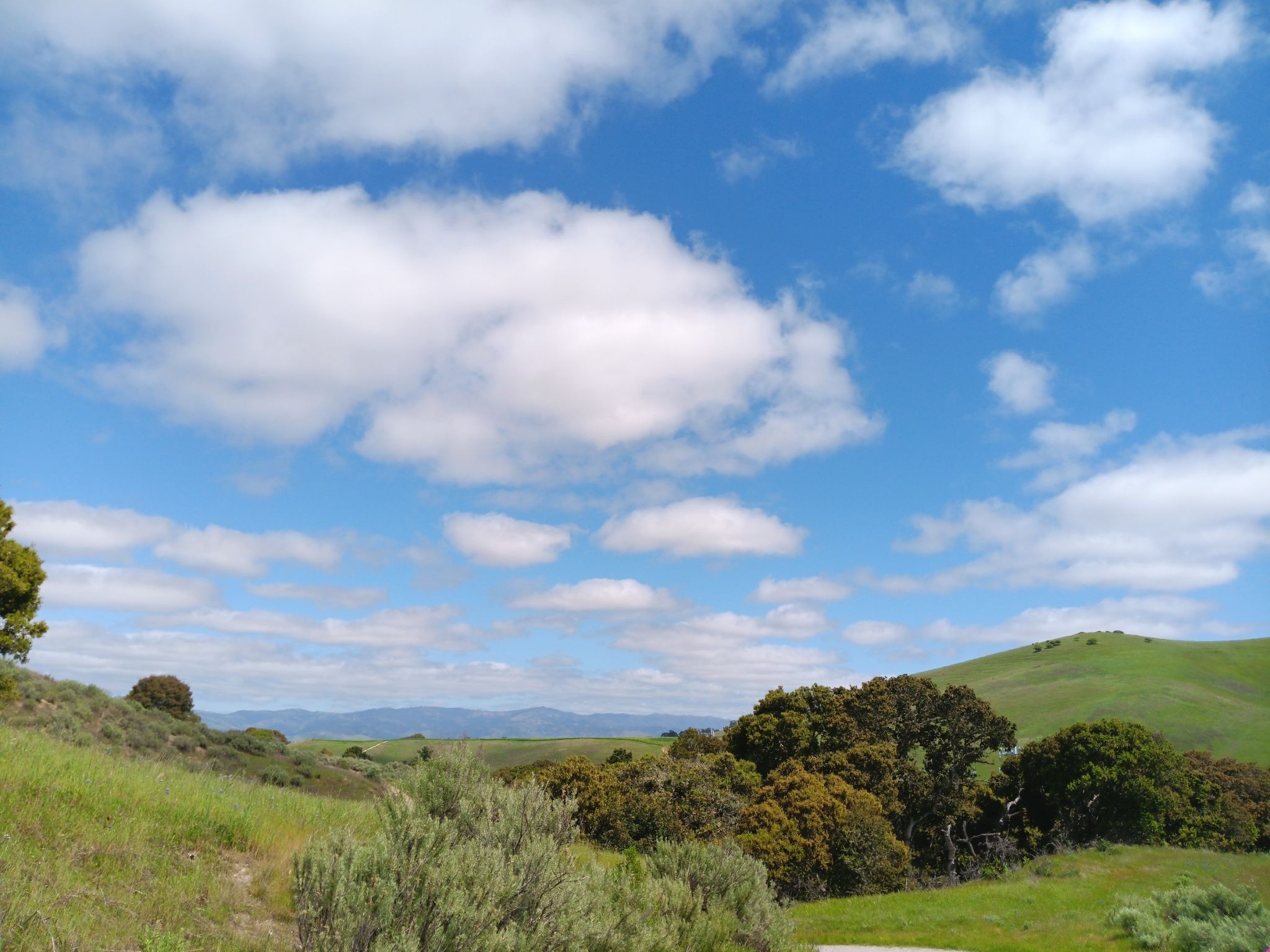 Vast blue sky with white clouds over green rolling hills and trees. - Oil Well Road and Engineer Canyon Road Loop