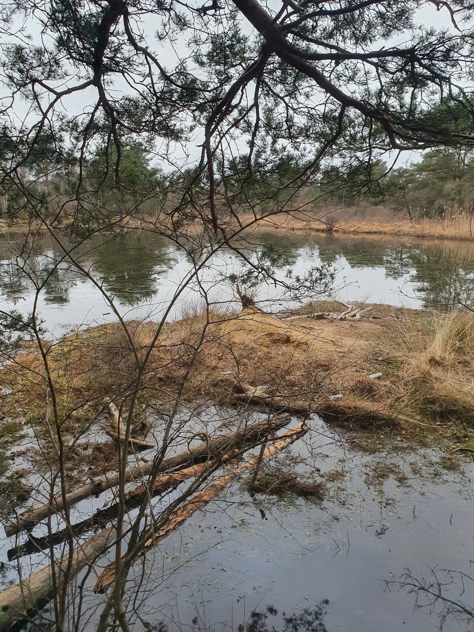 Upton pond #1