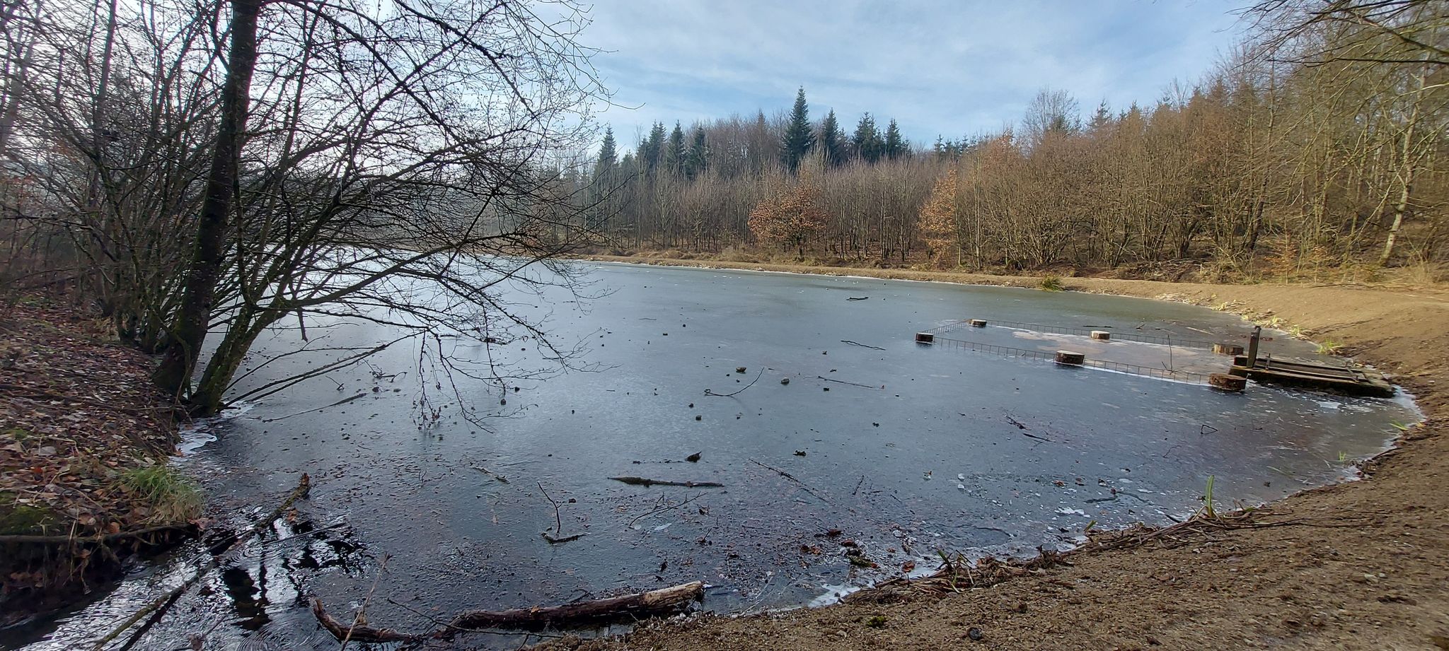 Schnakenweiher