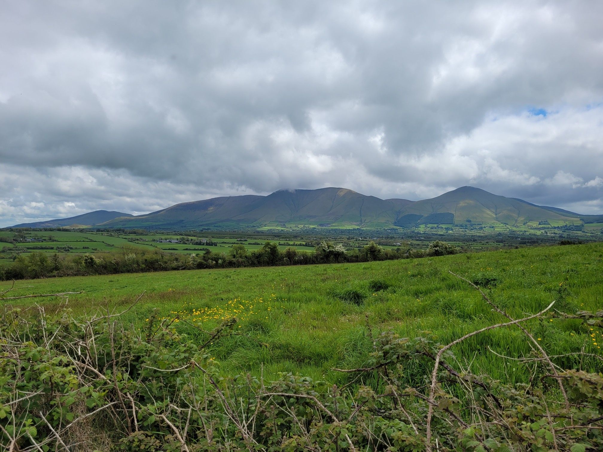The Galtees