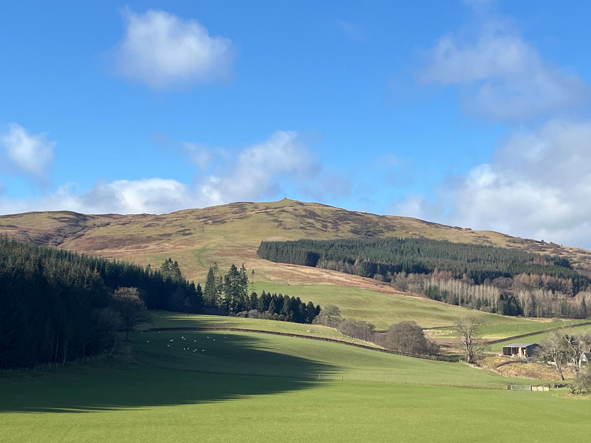 Newark Hill