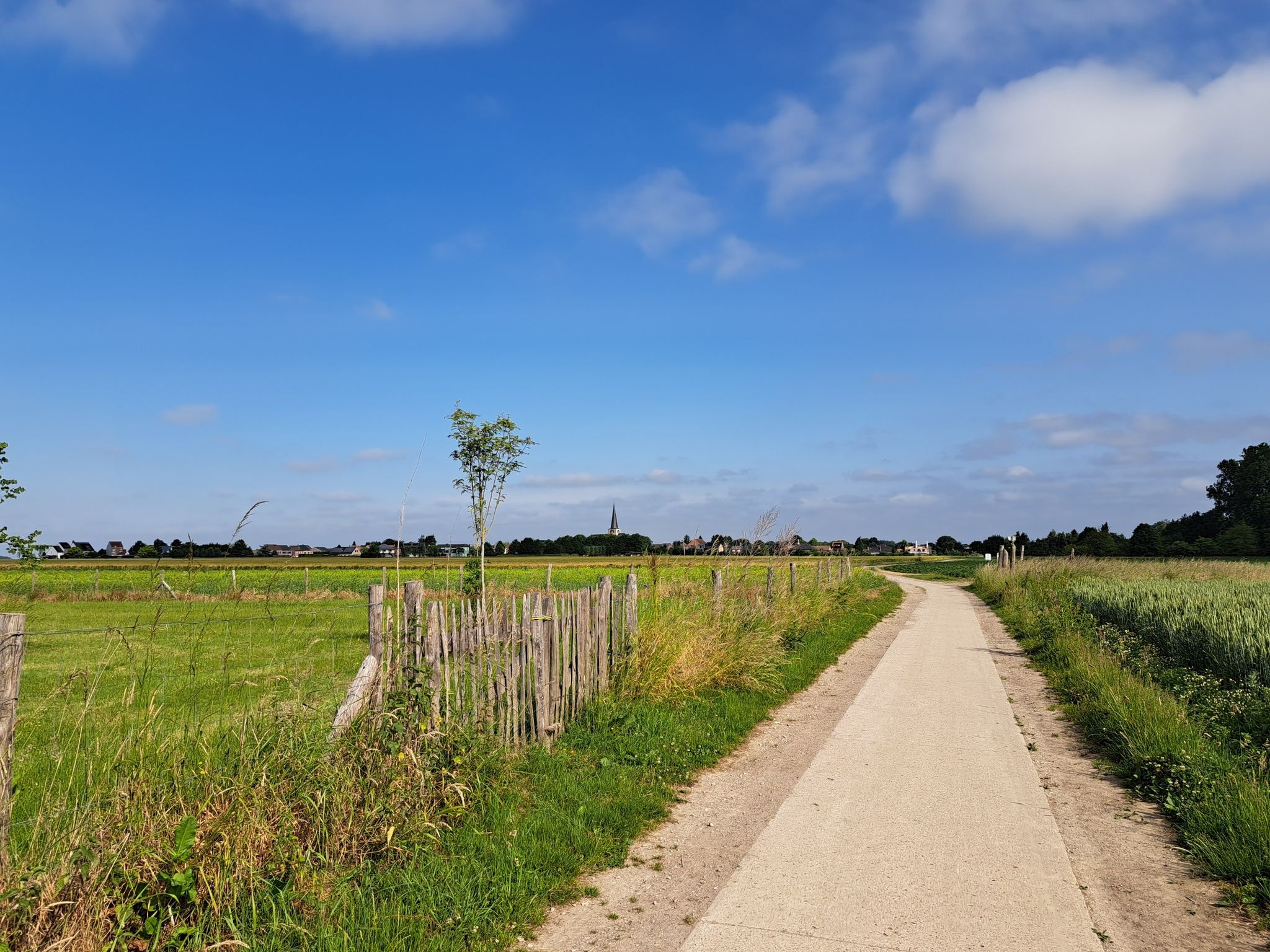 uitzicht naar Nederokkerzeel