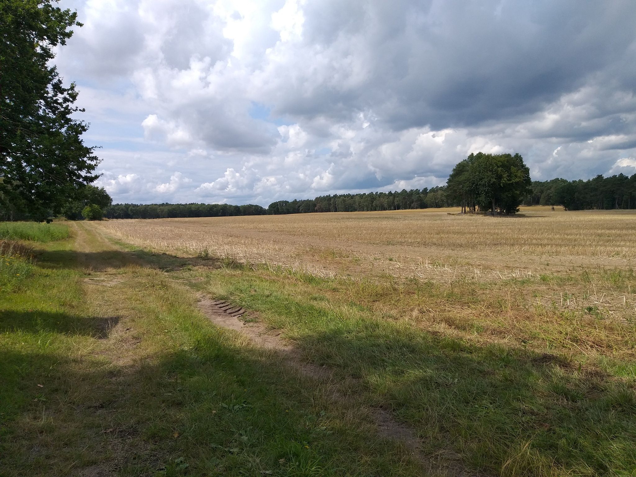 Feldweg mit Megalithgrab Diesdorf 3