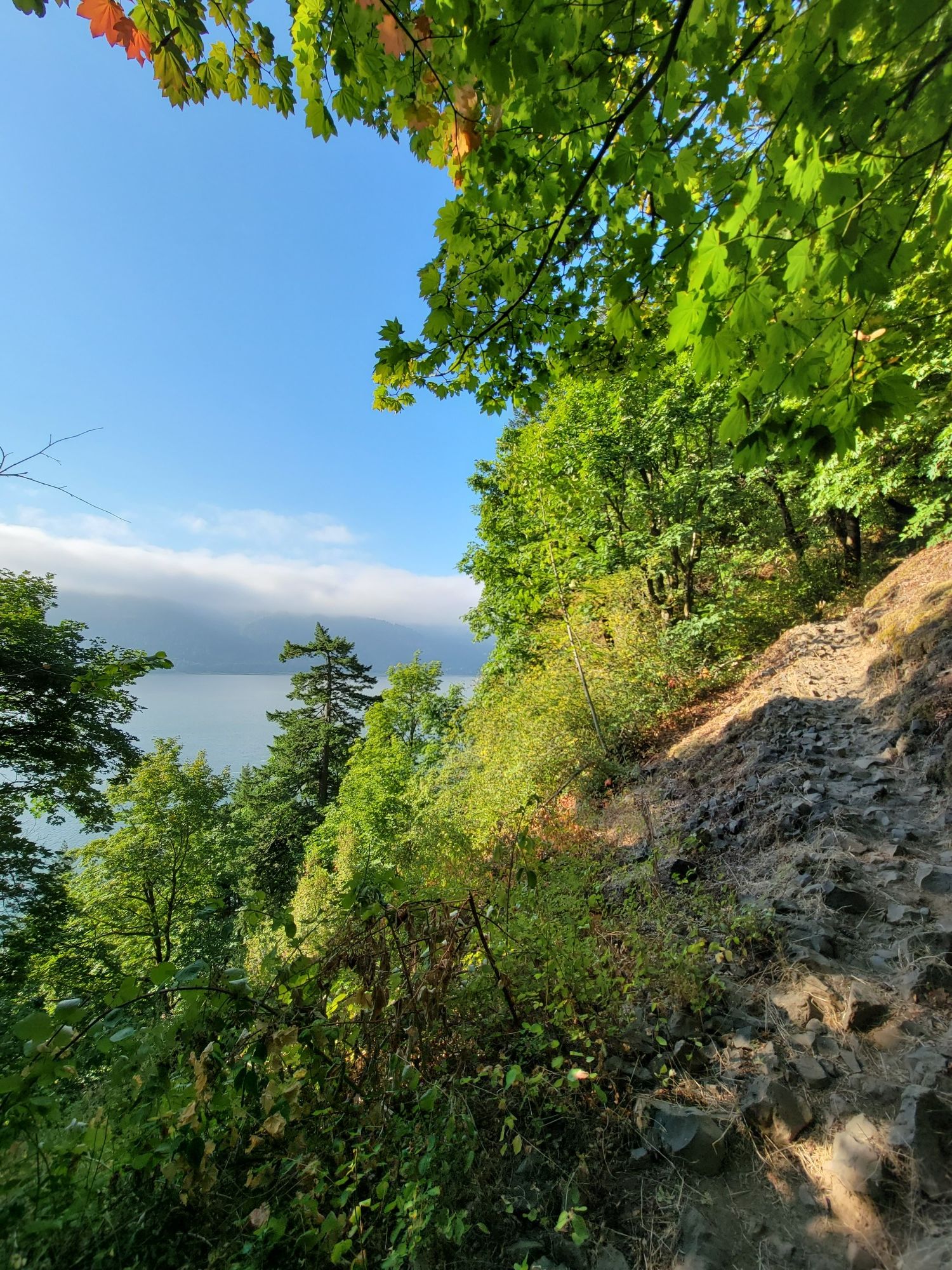 Steep, rocky, forested hillside overlooking a wide body of water. - Cape Horn Loop Trail