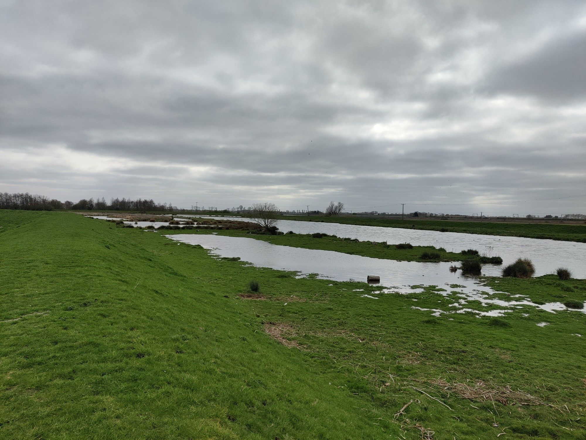 cam wetlands