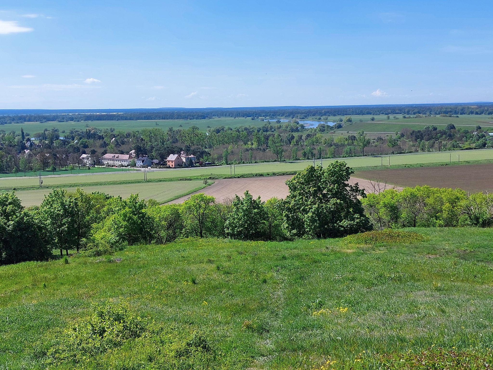 Blick vom Apollensberg
