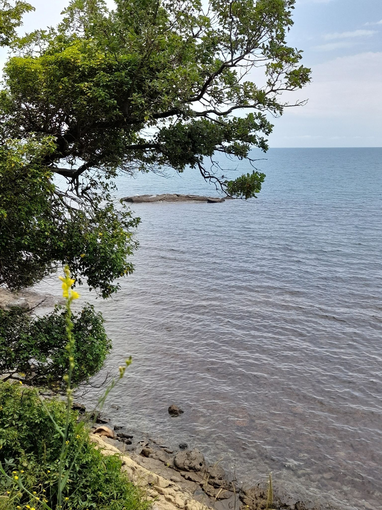 island