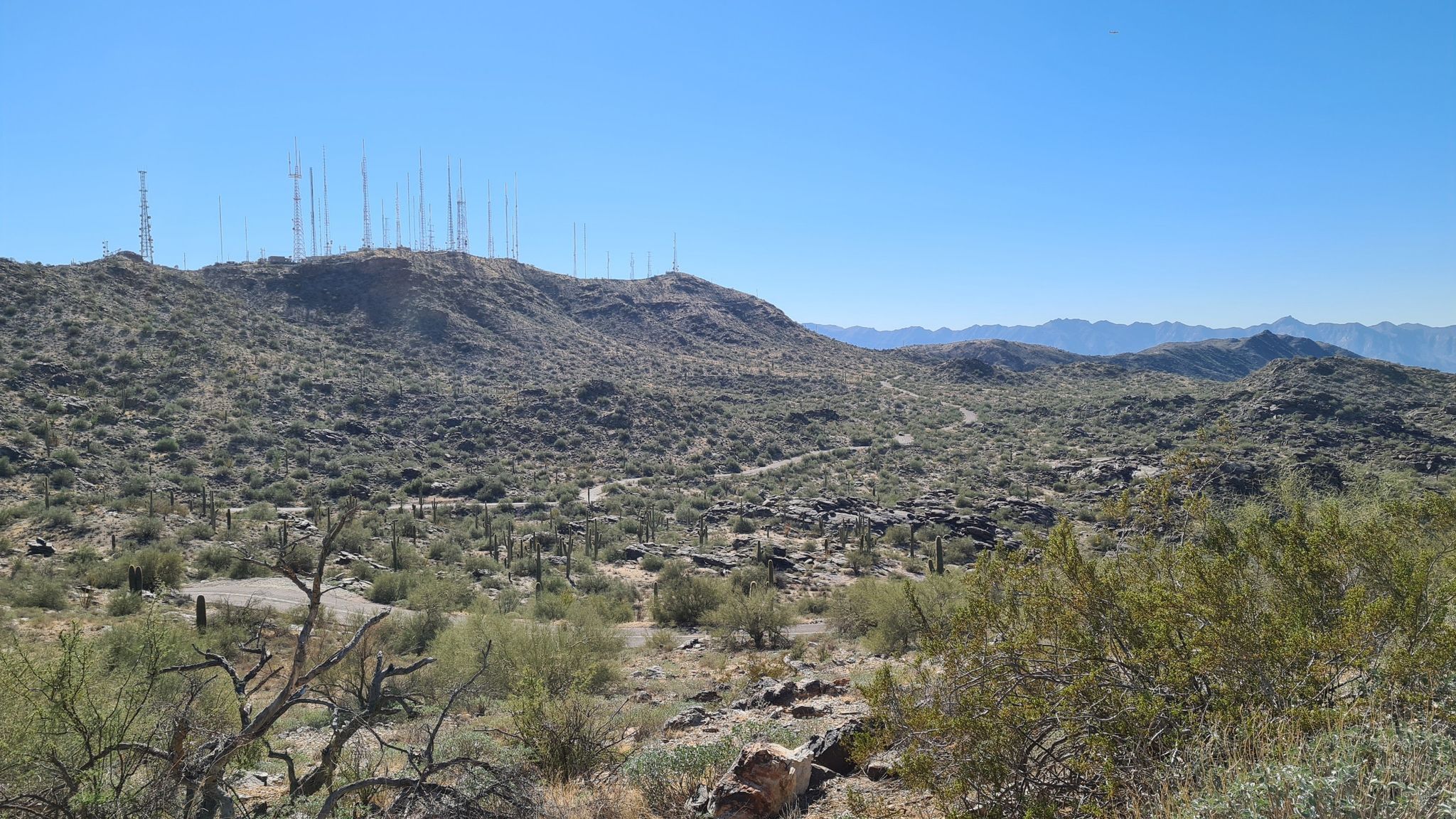 Desert mountains covered in cacti and communication towers under clear sky. - South Mountain Preserve – Dobbins Lookout loop from Goat Hill