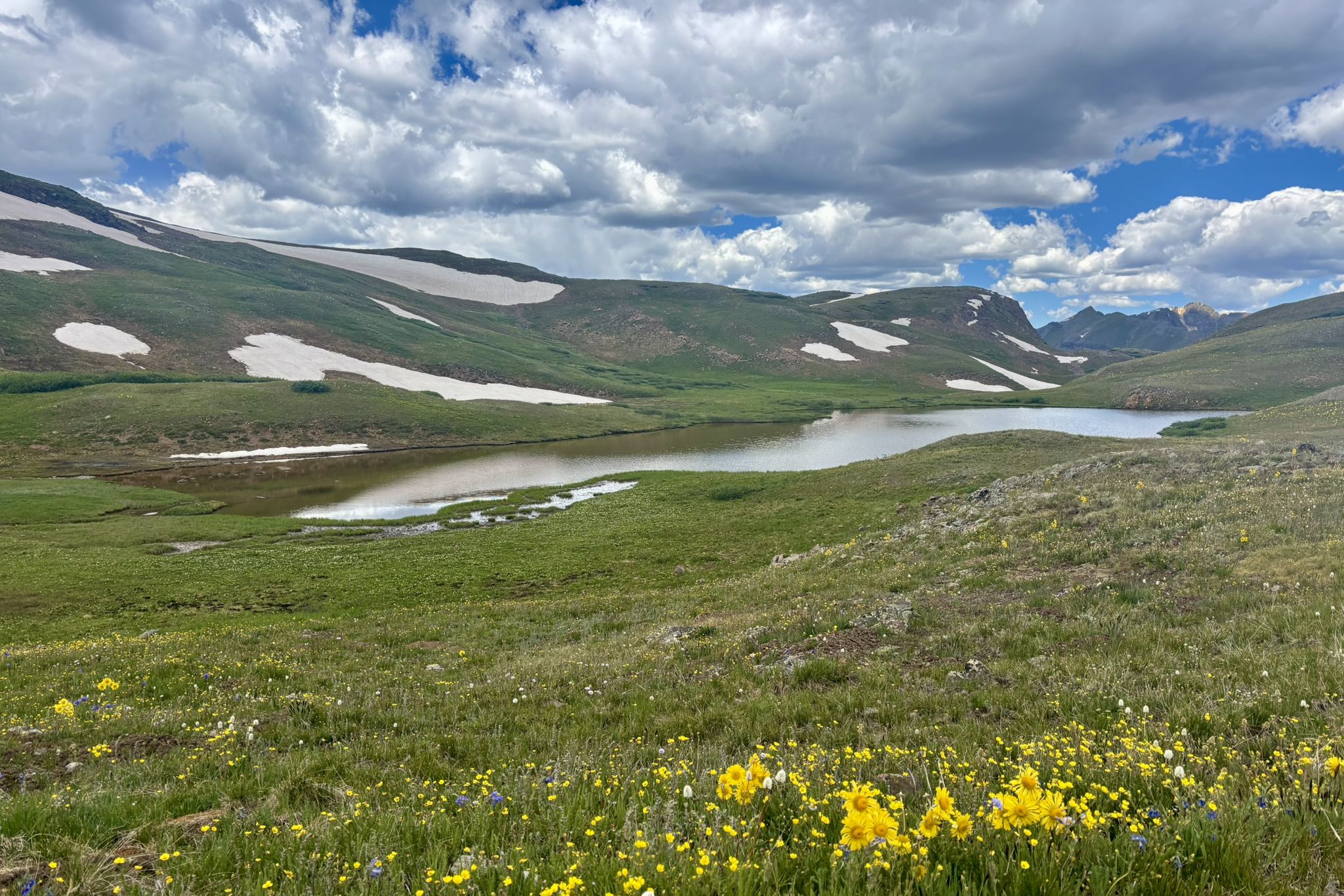 Green mountain meadow with yellow wildflowers, a calm lake, and snow patches. - Cunningham Gulch Trail