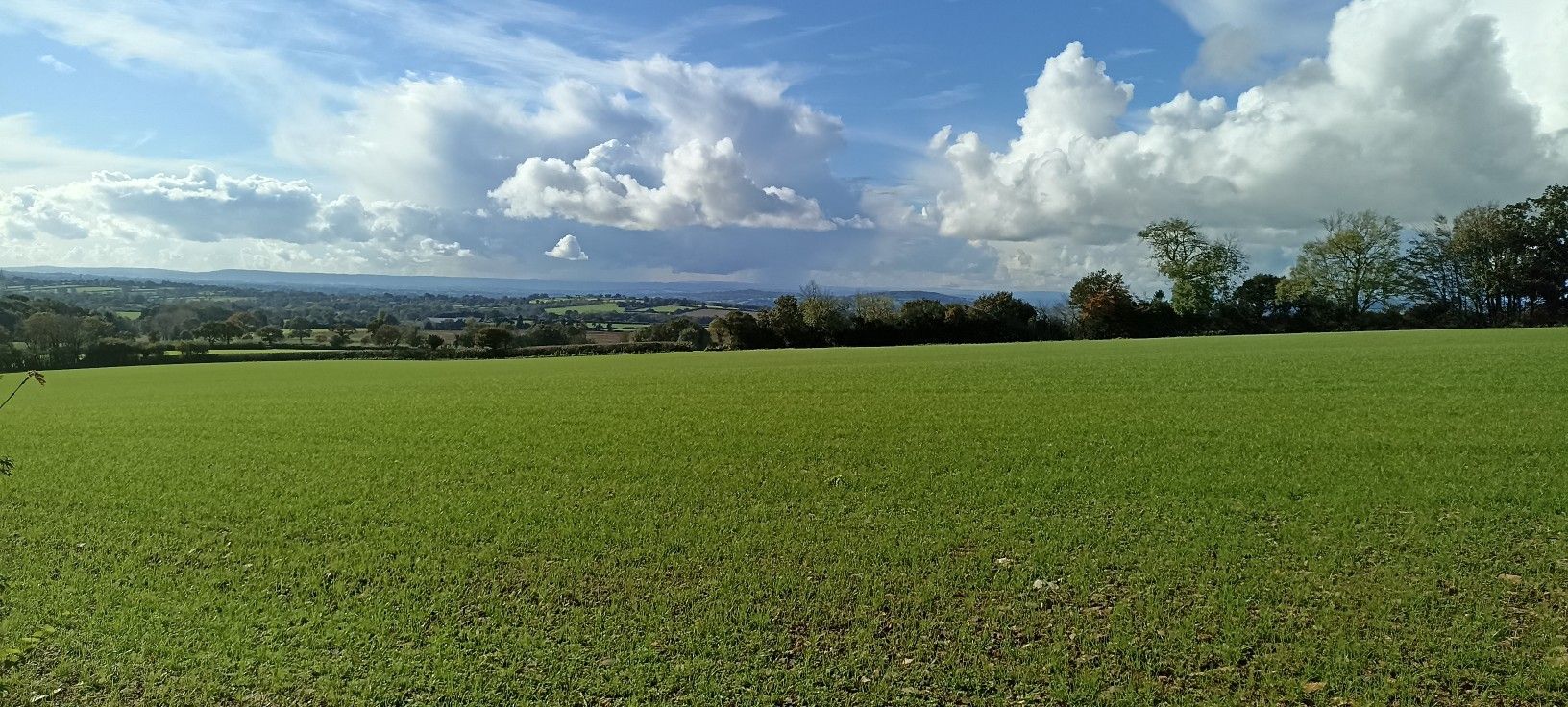 Viewpoint